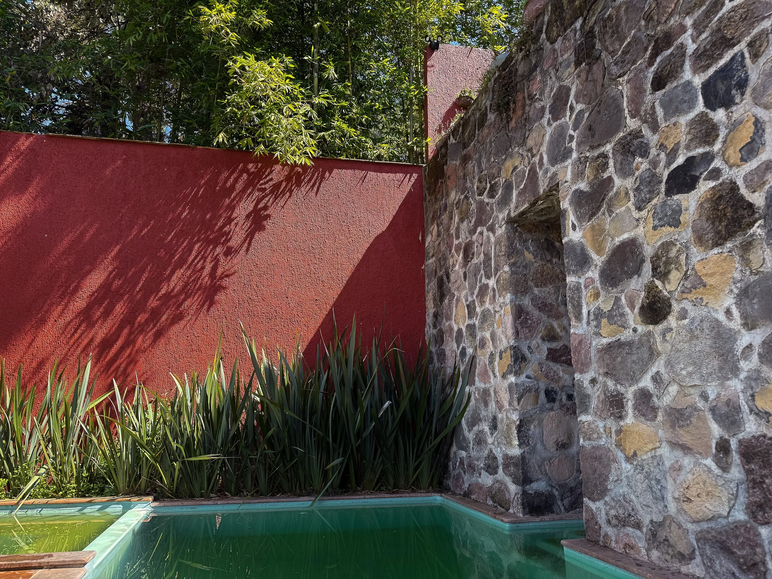 Monte Alto, vista del jardín