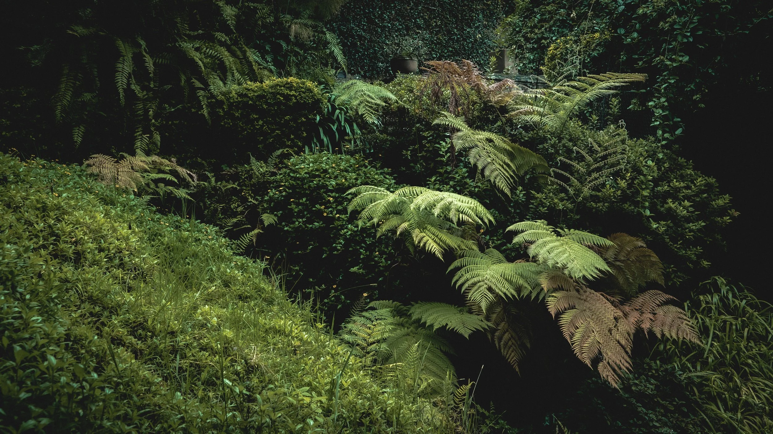 Monte Alto — Biflora Studio