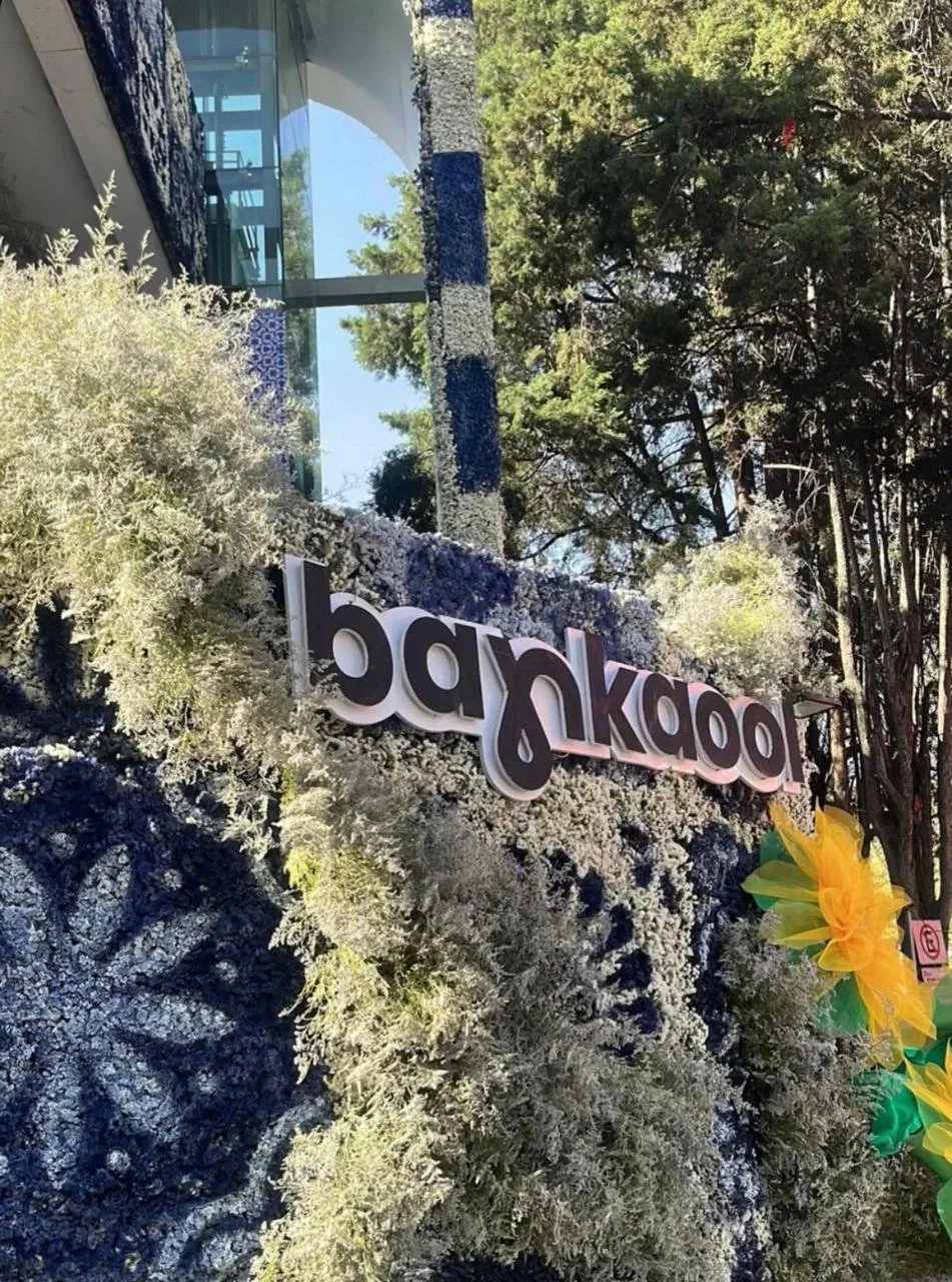 Bankaool FYJA 2025 — detalle