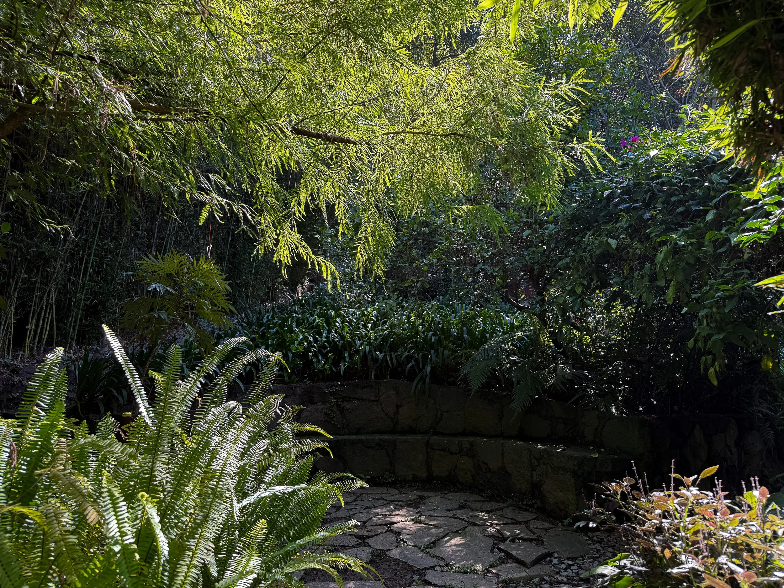 Monte Alto, recorrido del jardín