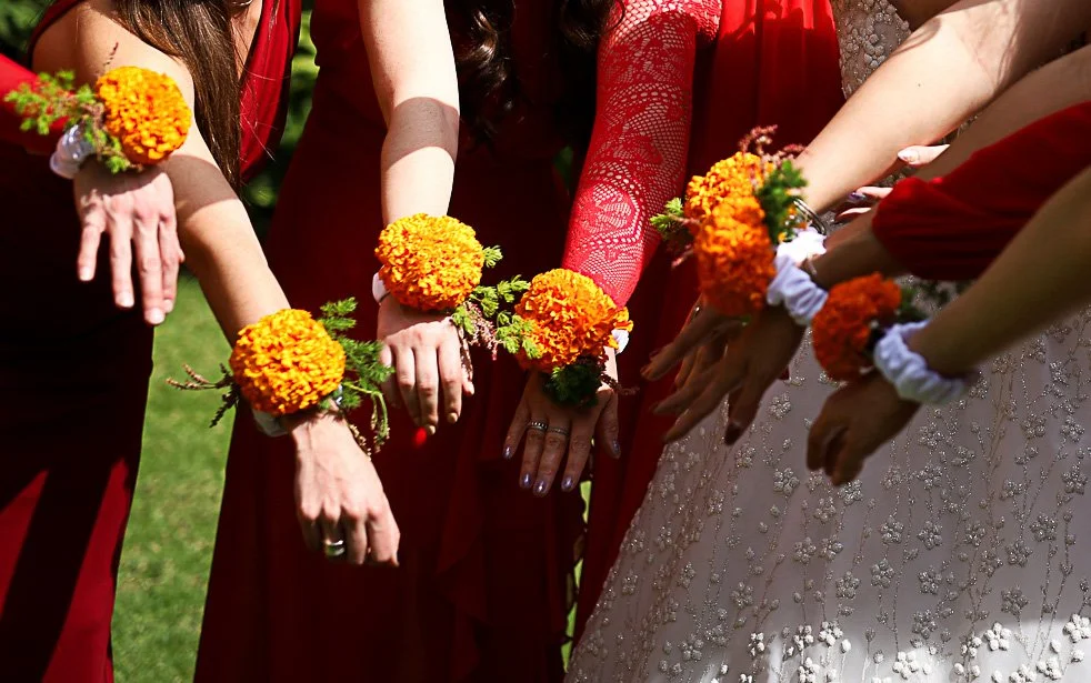 Cempasúchil — detalle floral de la celebración