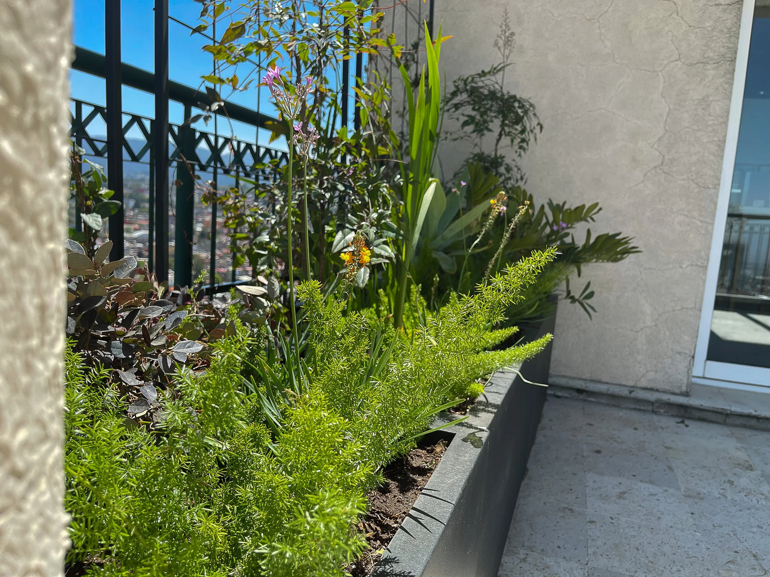 La Galería — detalle de la pérgola