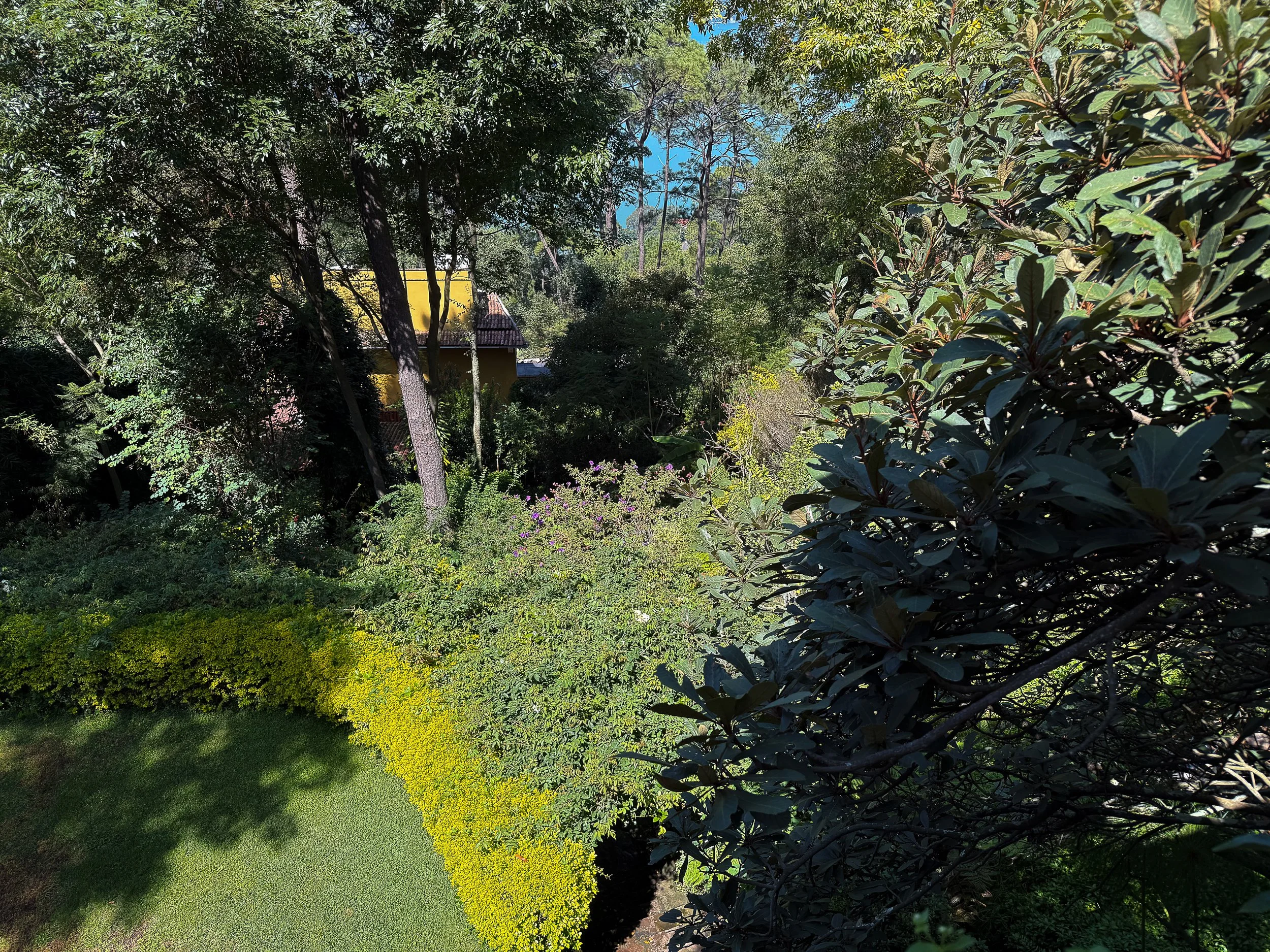 Monte Alto, detalle del jardín