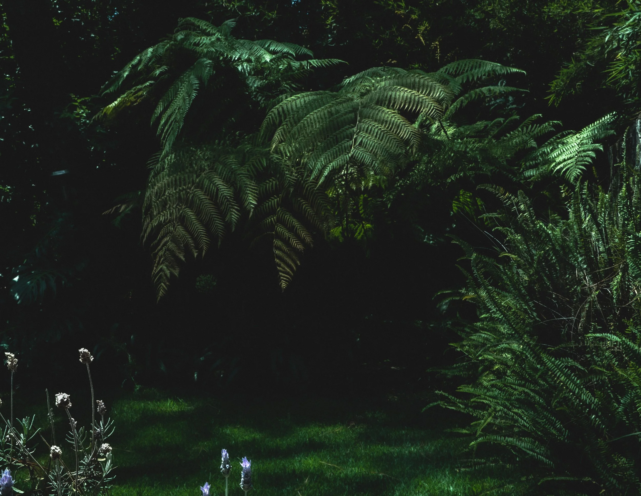 Vitral del Lago — Biflora Studio