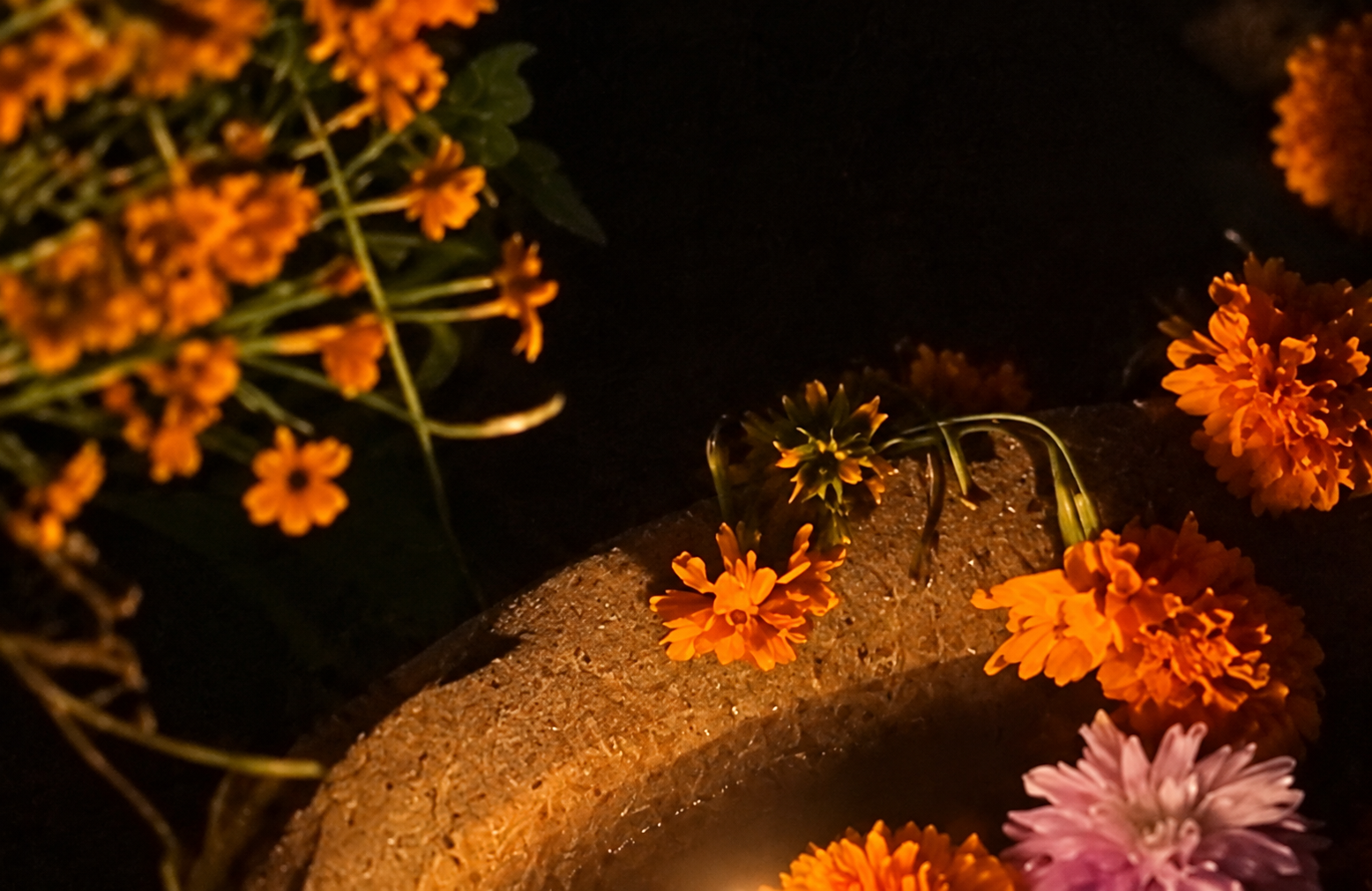 Ofrenda I — detalle floral