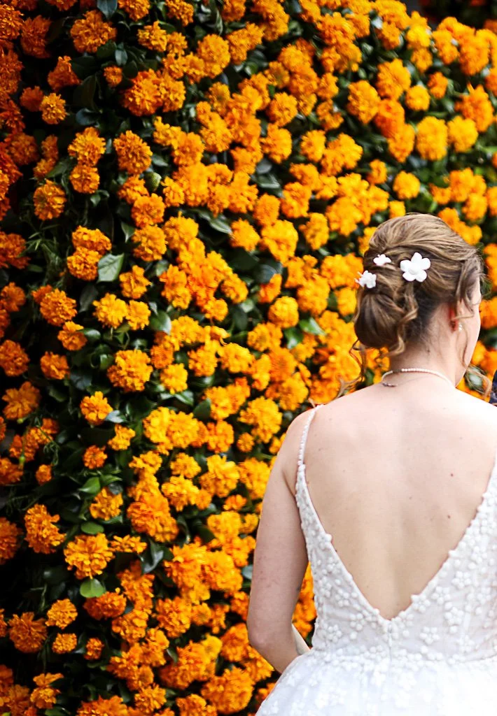 Cempasúchil — detalle de la estructura floral