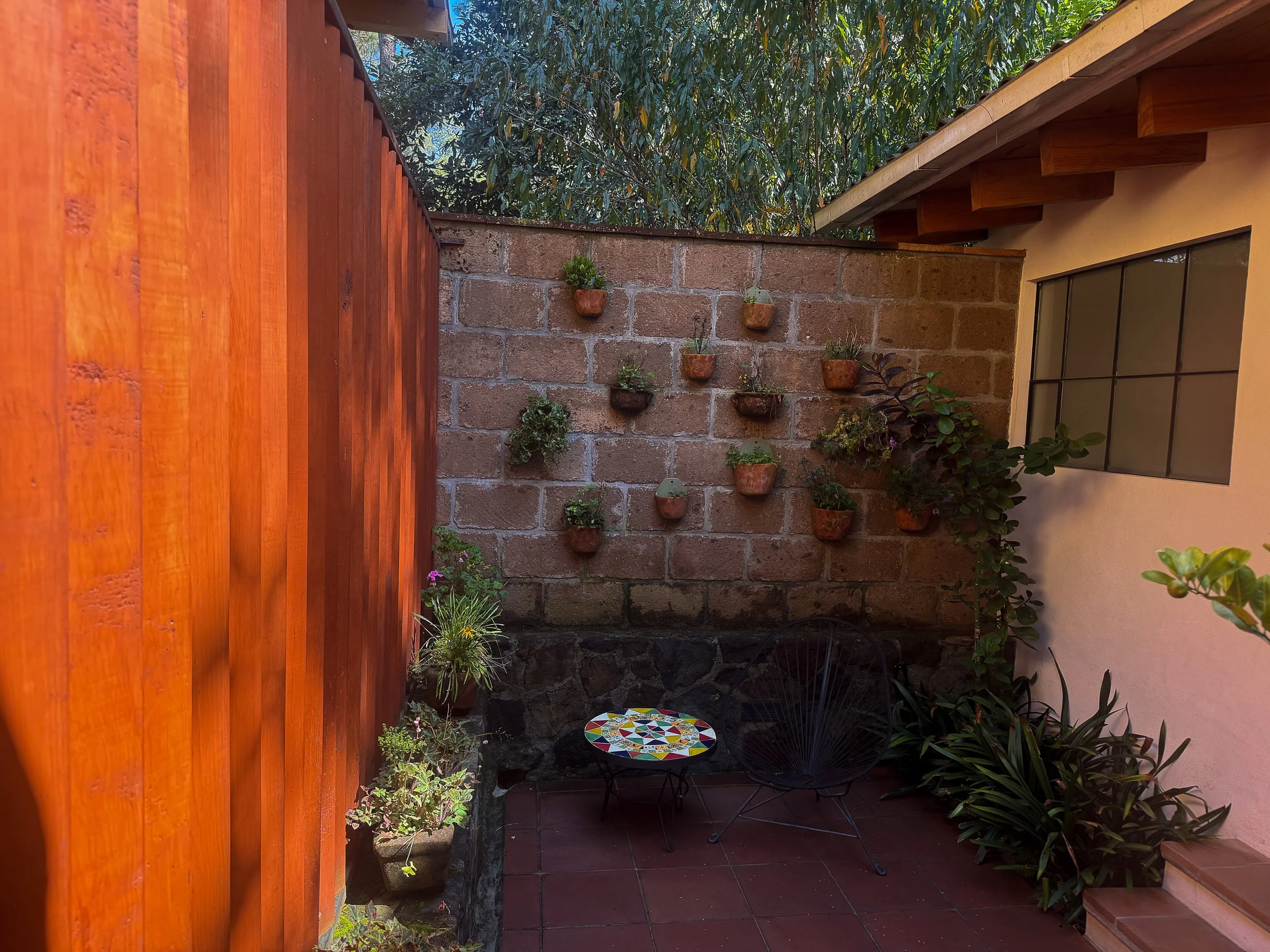 Patio del Vitral — muro vegetal