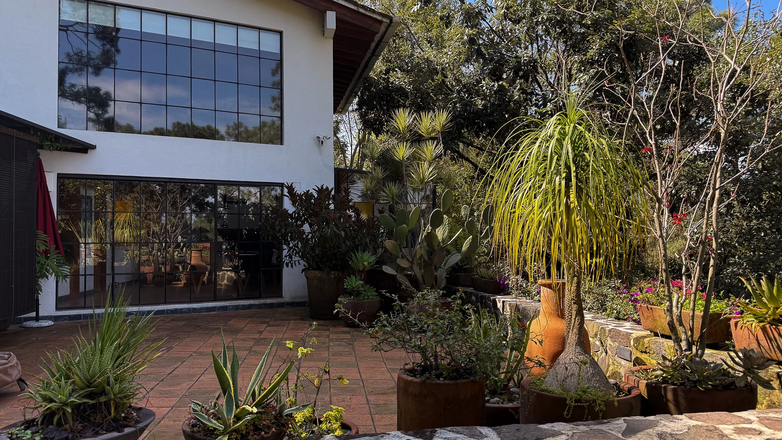 Vitral del Lago, relación entre arquitectura y jardín