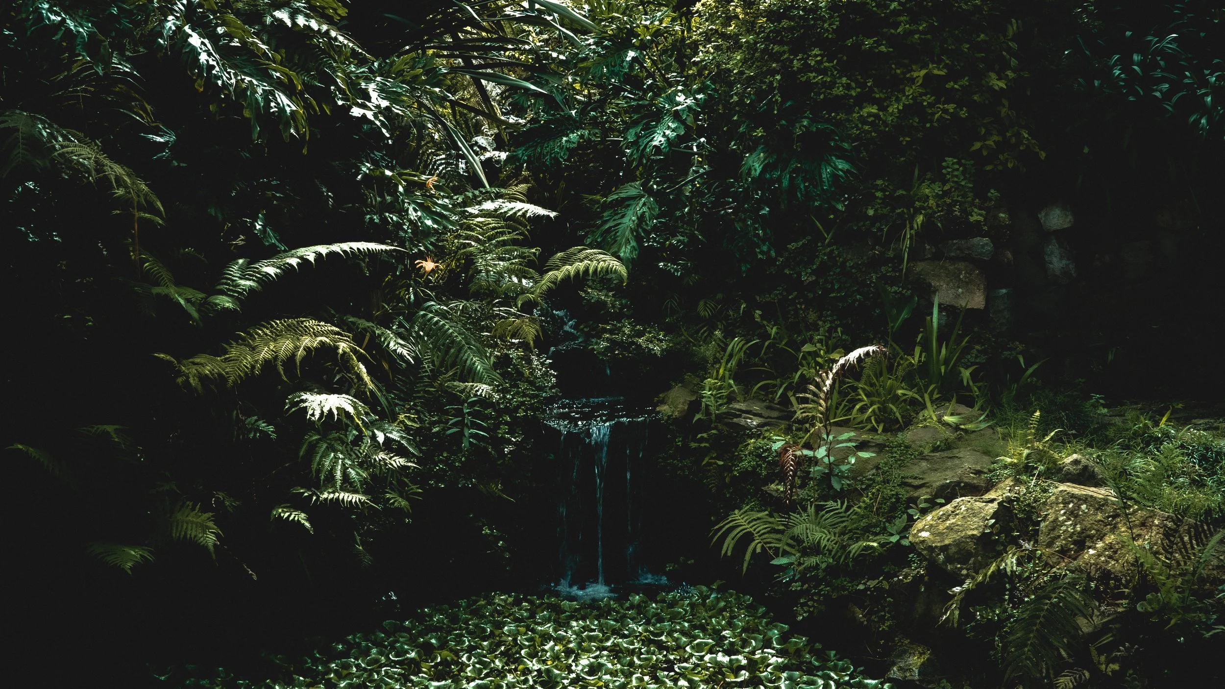 Monte Alto, vista general del jardín