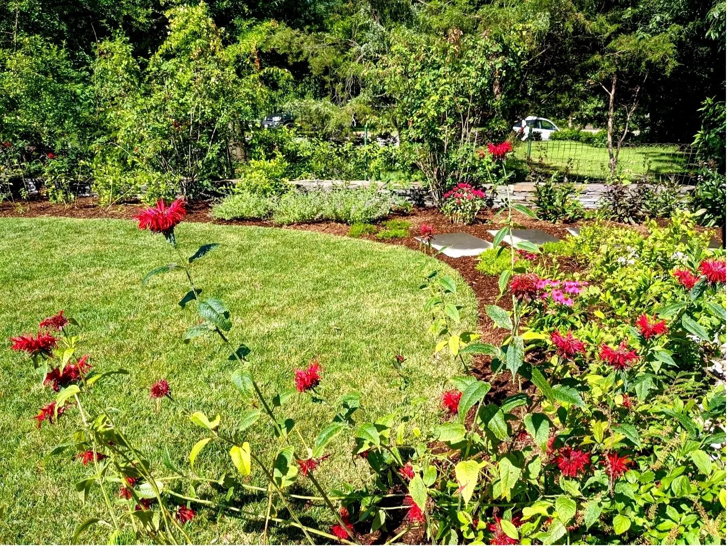 Ecological and sustainable landscaping maintenance by Evergreen Eco-Scapes in southeast Virginia