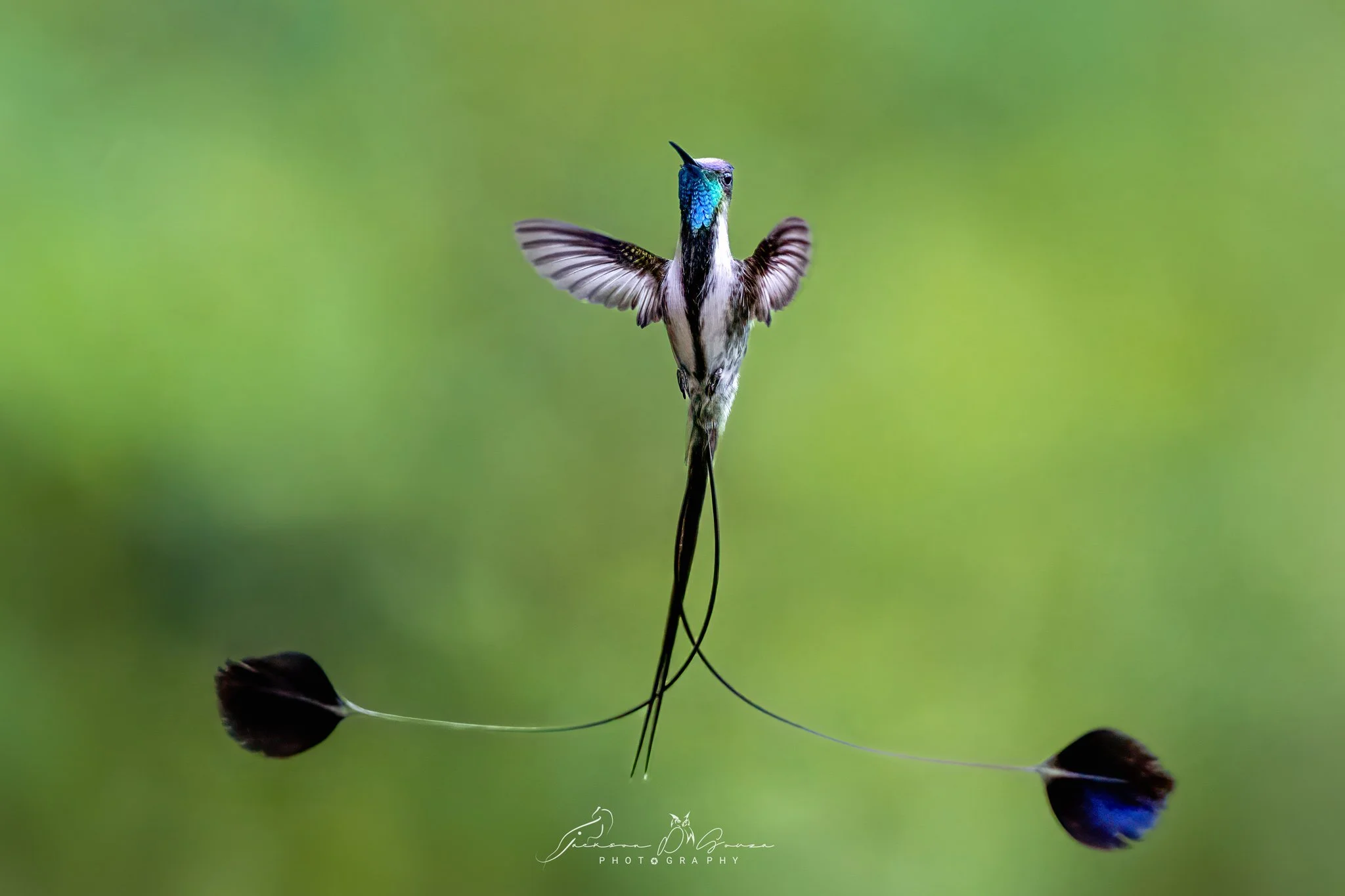 F0011