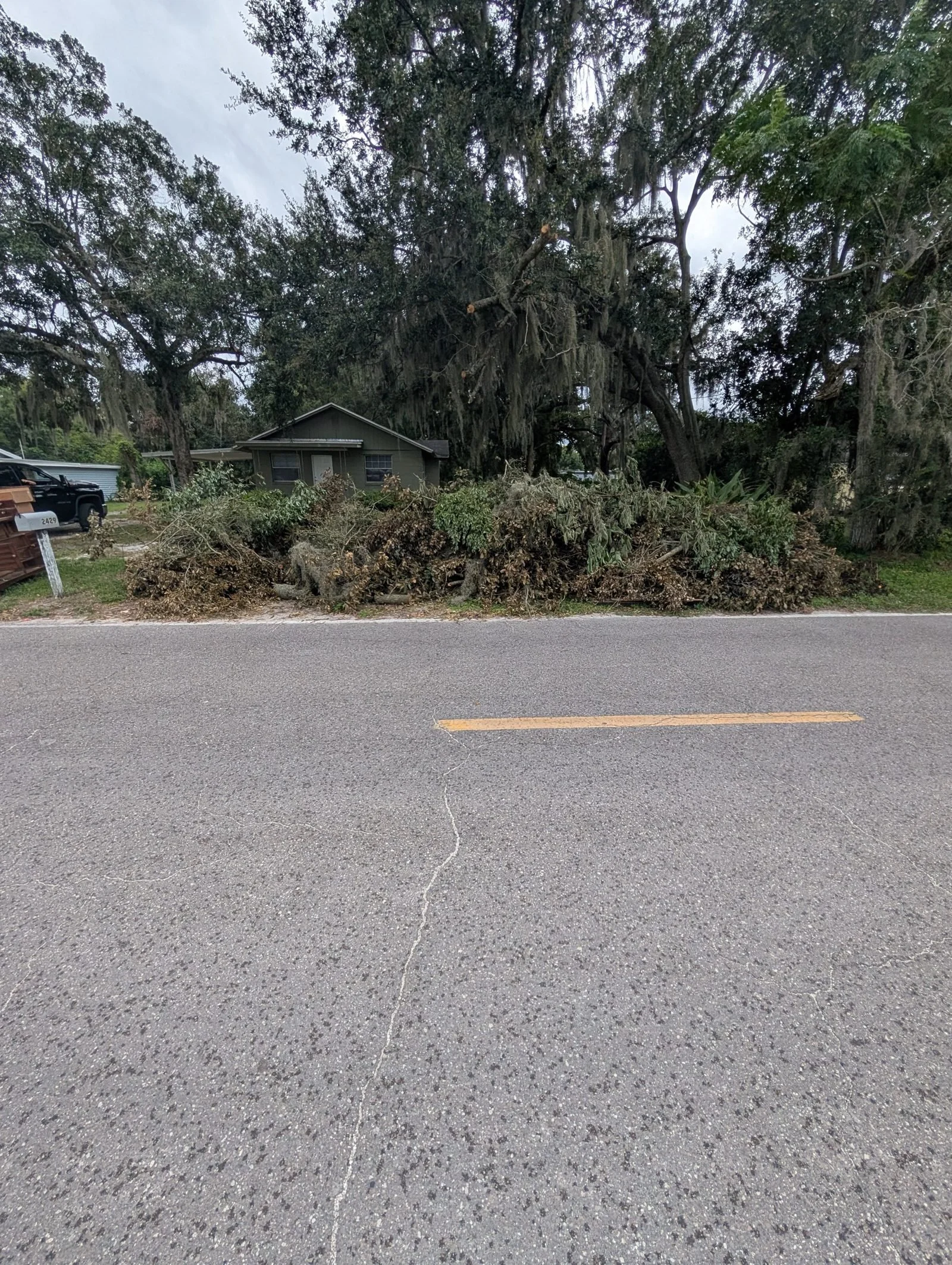 Long brush and limb pile along the road before Polk Services removal.