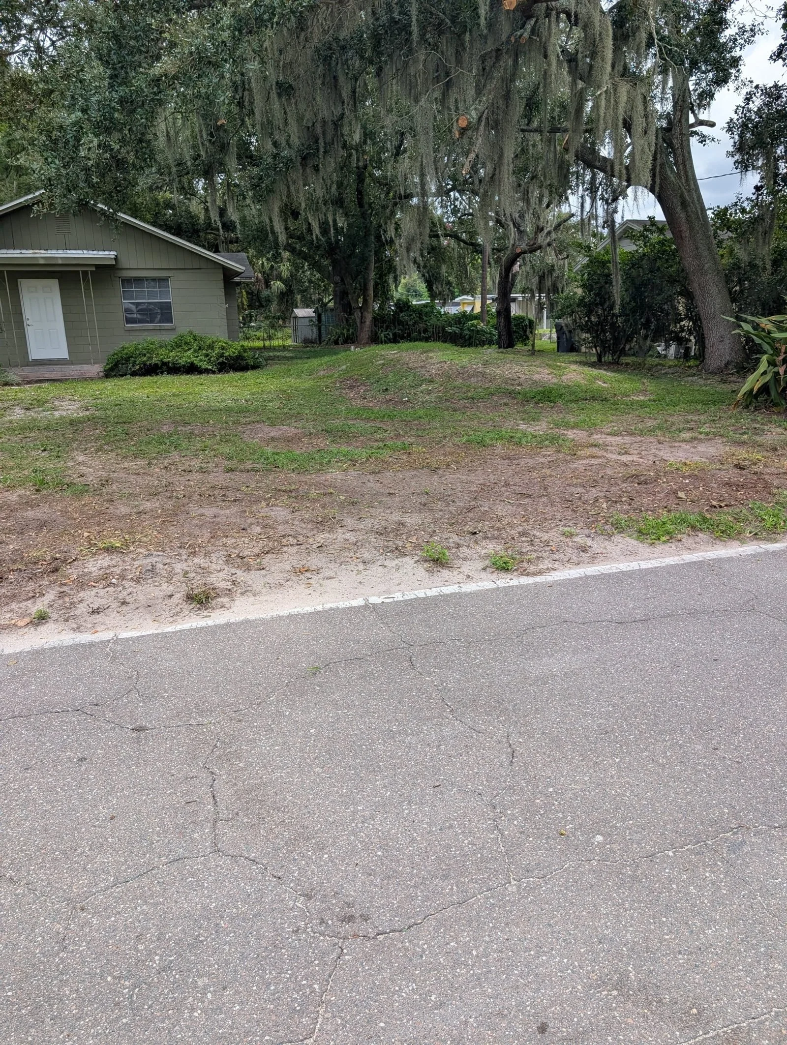 Roadside lot cleared and open after Polk Services brush removal.