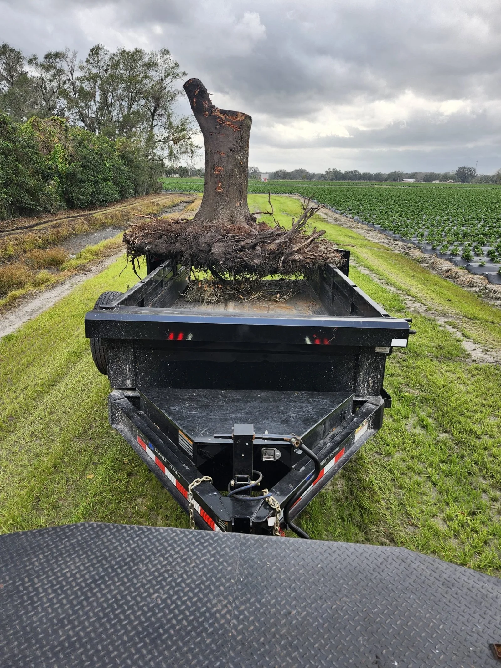 Polk Services hot tub and spa removal in Lakeland, FL — freestanding removal with the mini skid steer.
