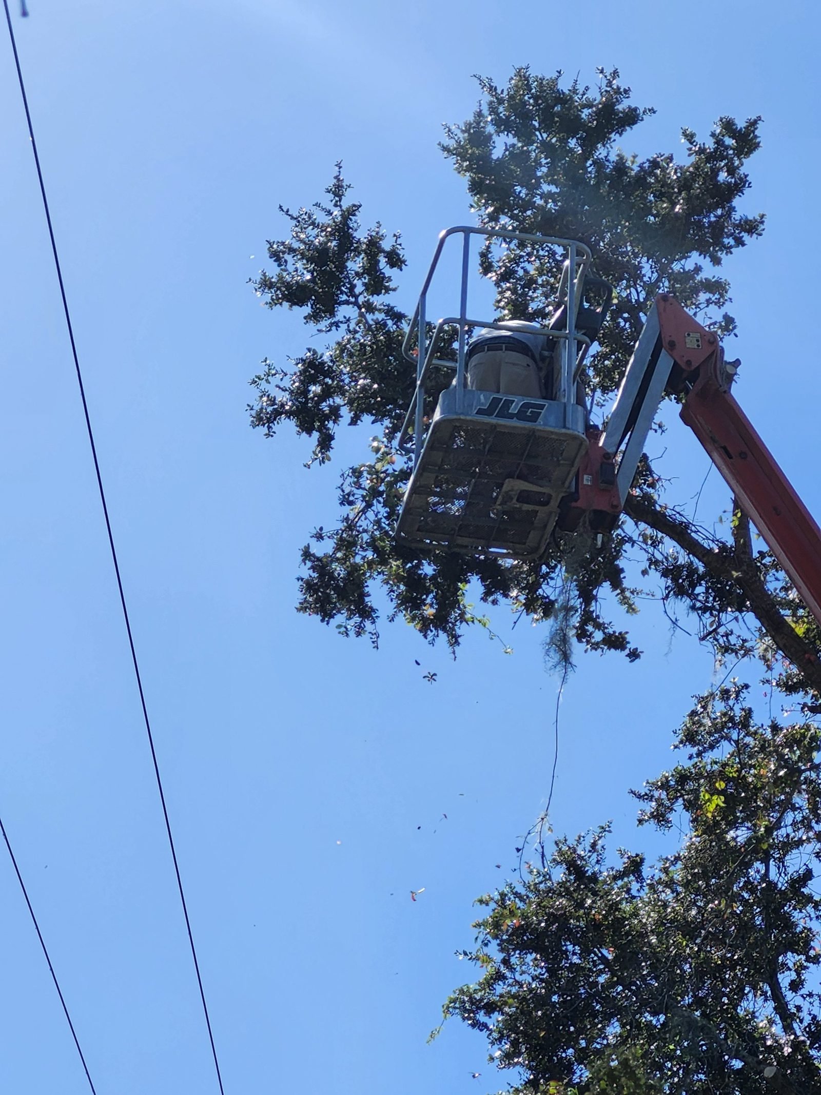 The Polk Services Kubota SCL1000 moving sectioned tree pieces to the dump trailer.