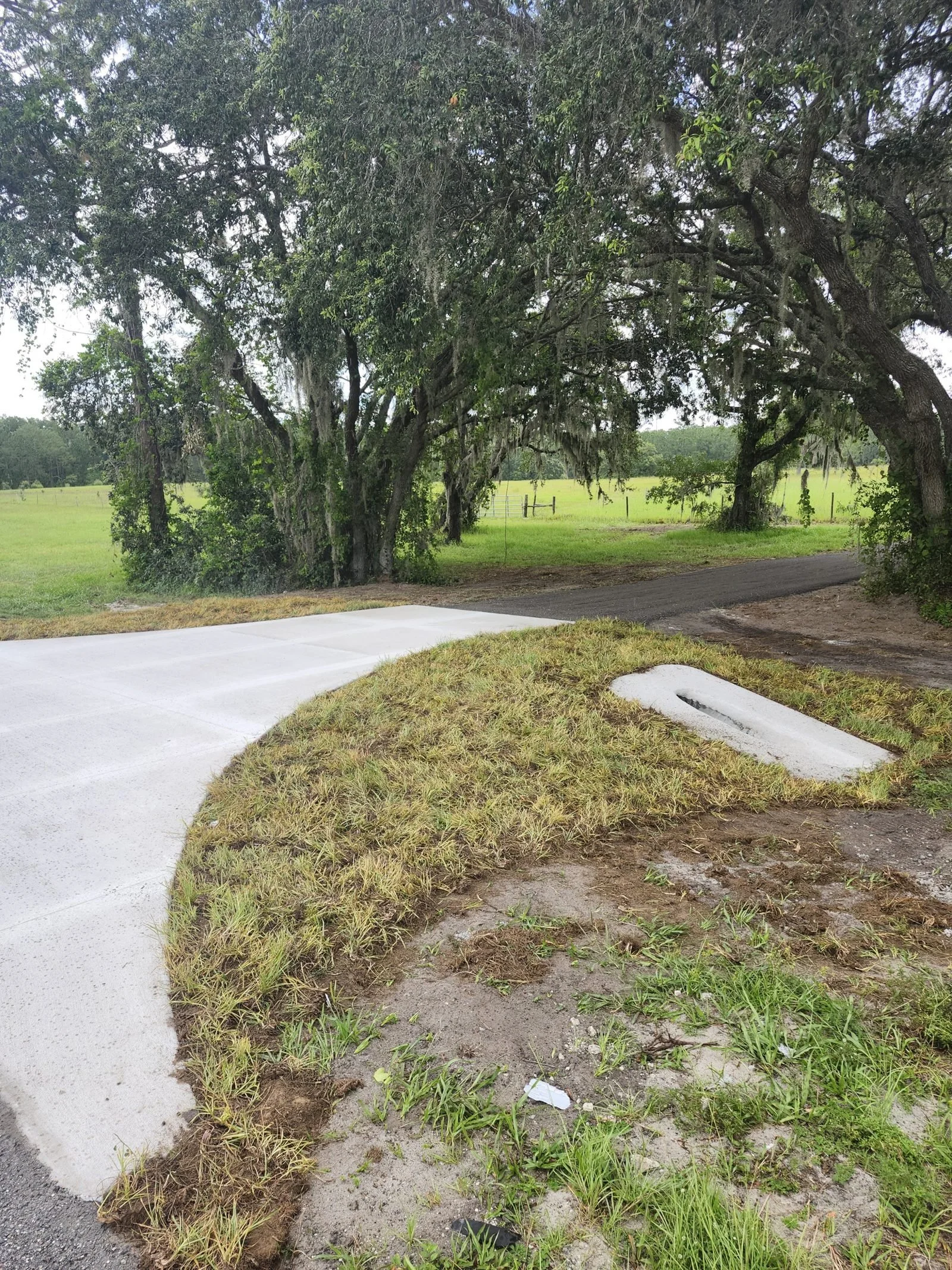 Polk Services concrete demolition in Lakeland, FL — heavy machinery breaking a driveway.