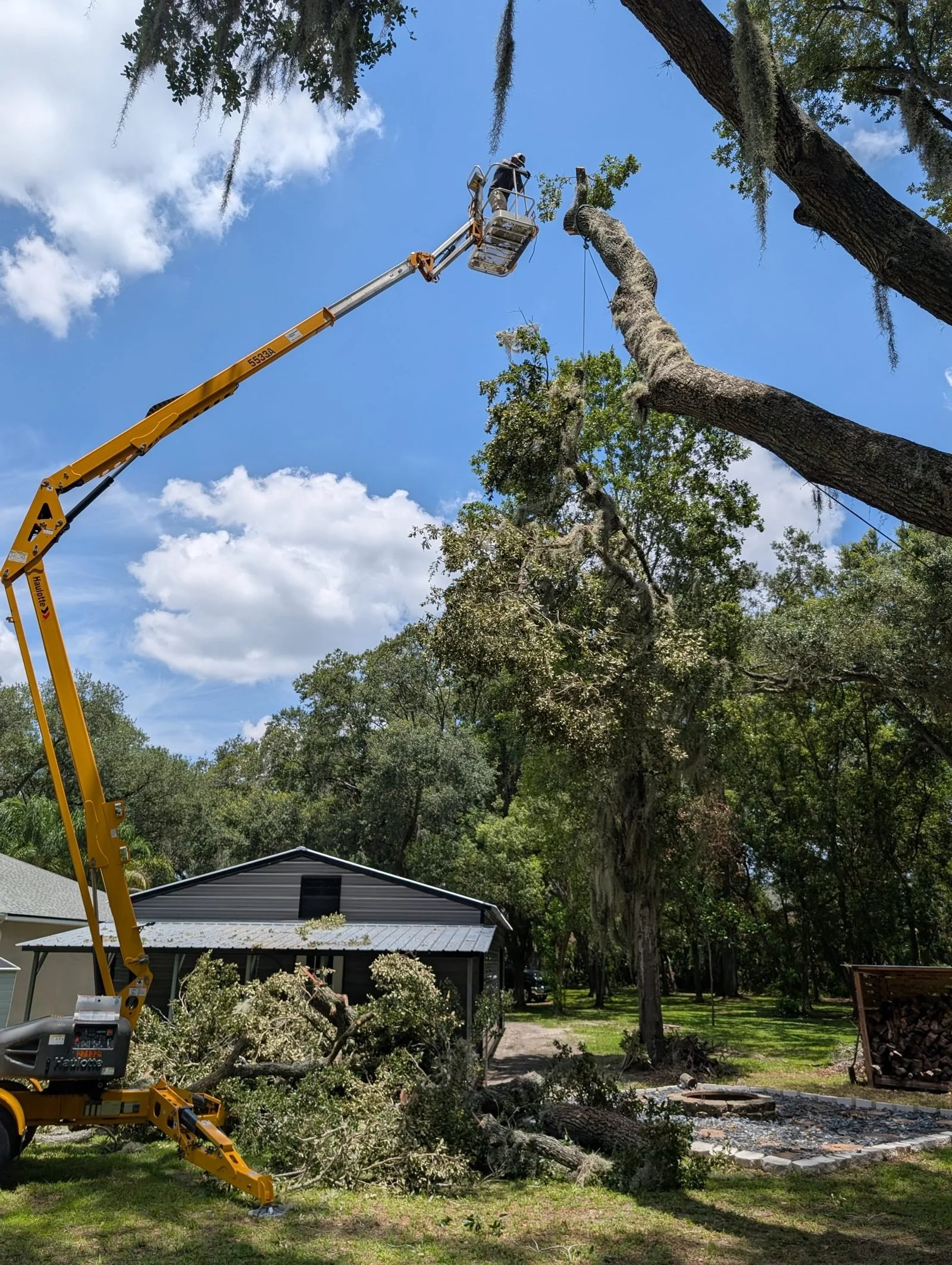 A Polk Services dump trailer loaded with sectioned tree trunk and limb debris.