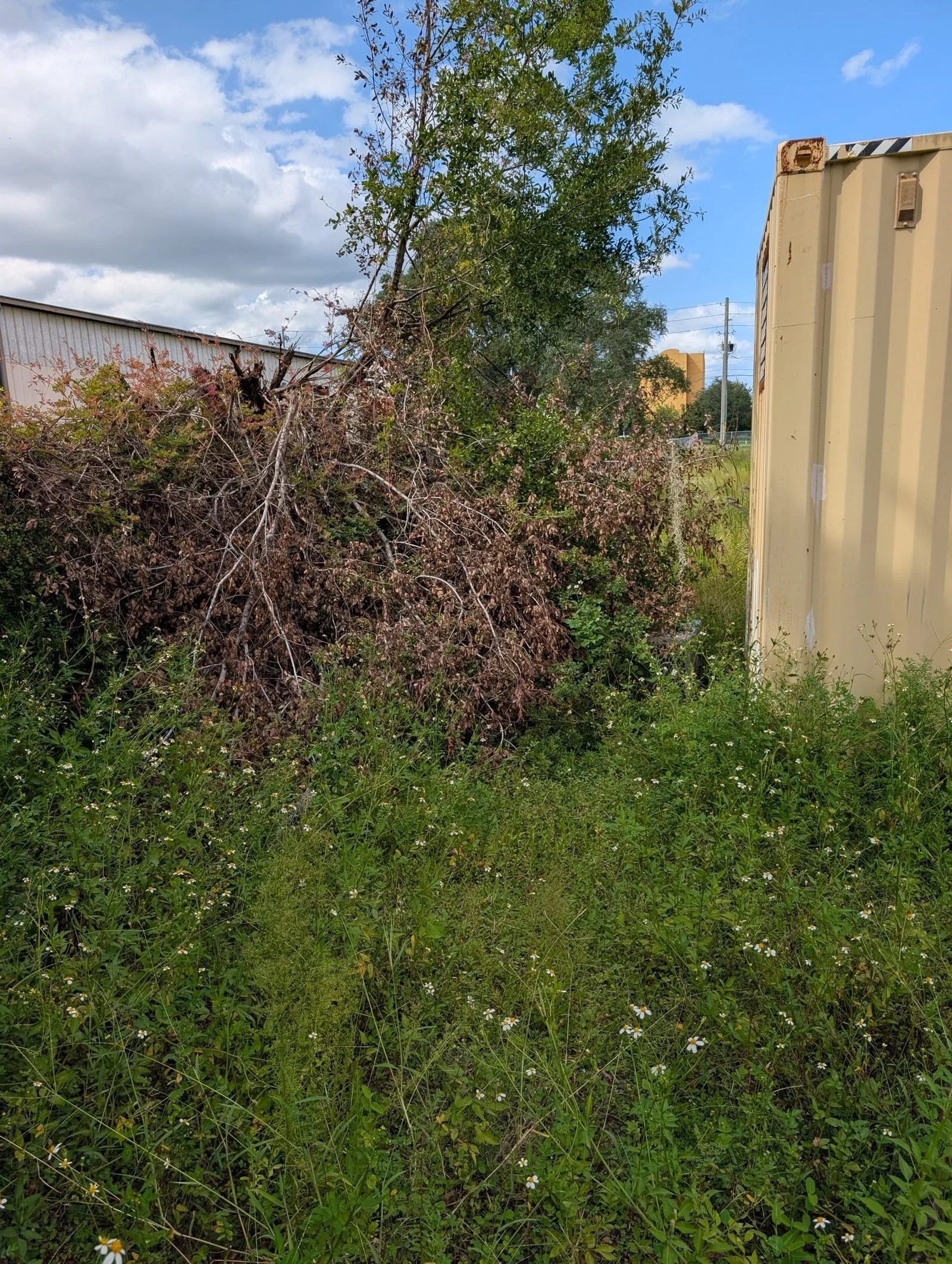 A Polk Services dump trailer loaded with cleared brush and debris for haul-off.