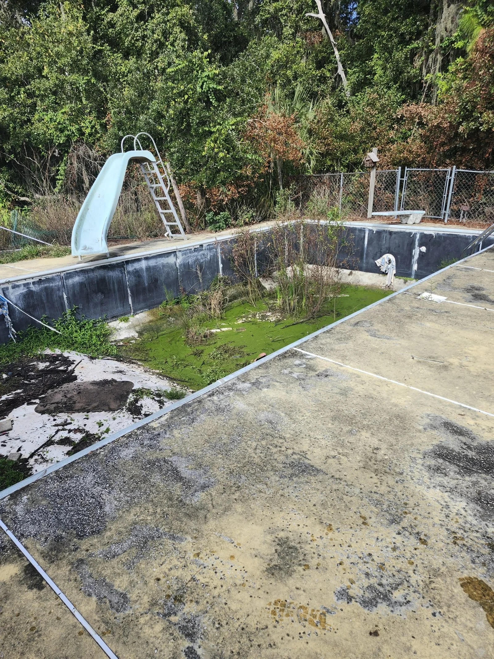 The Polk Services truck and equipment staged for an in-ground pool demolition in Lakeland, FL.