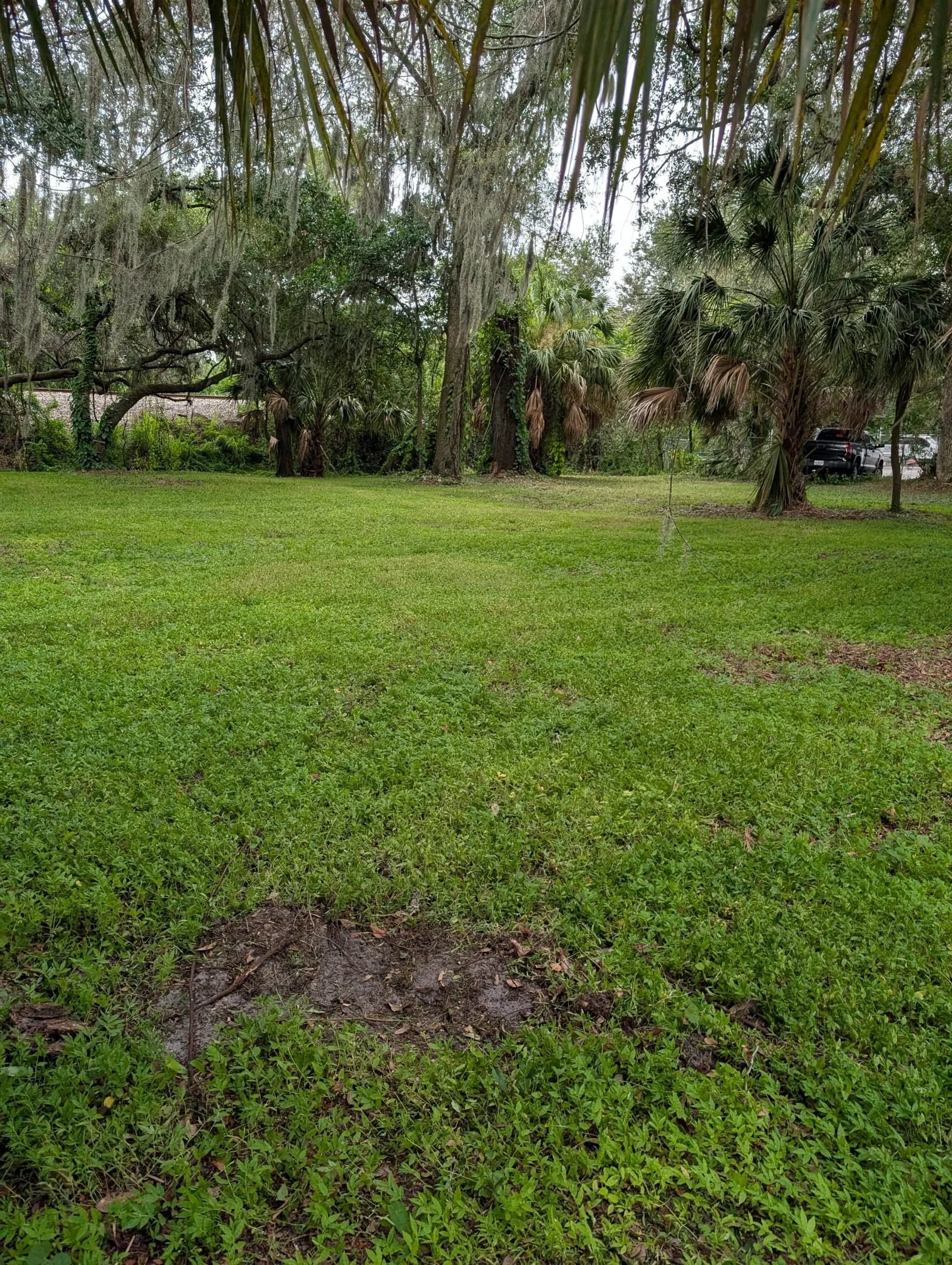 Complete property cleanup by Polk Services in Lakeland, FL — clearing an overgrown lot with the Kubota SCL1000.