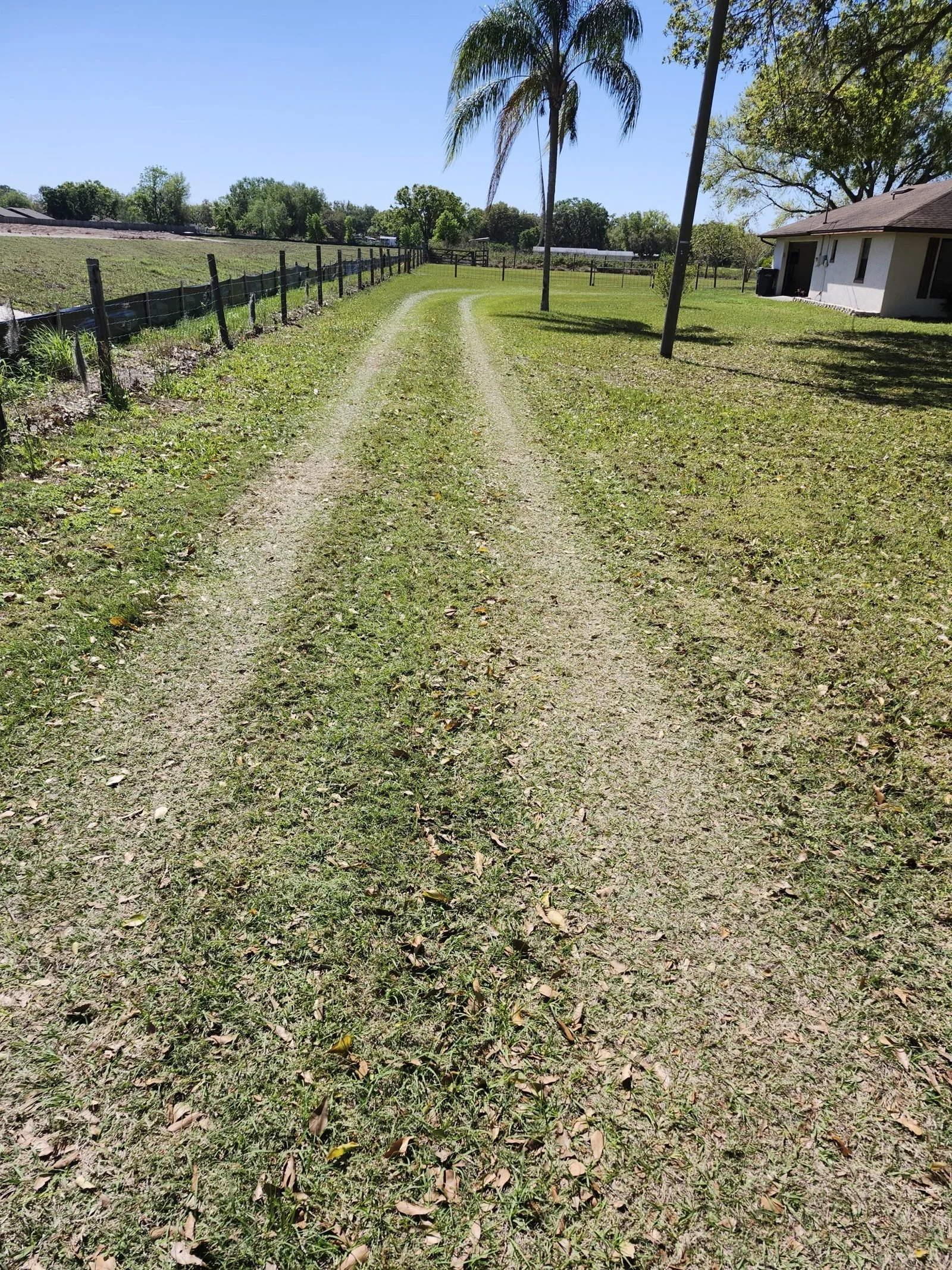 Polk Services owner Donny Gozzola in Auburndale, FL — owner-operated junk removal, demolition, and land work.