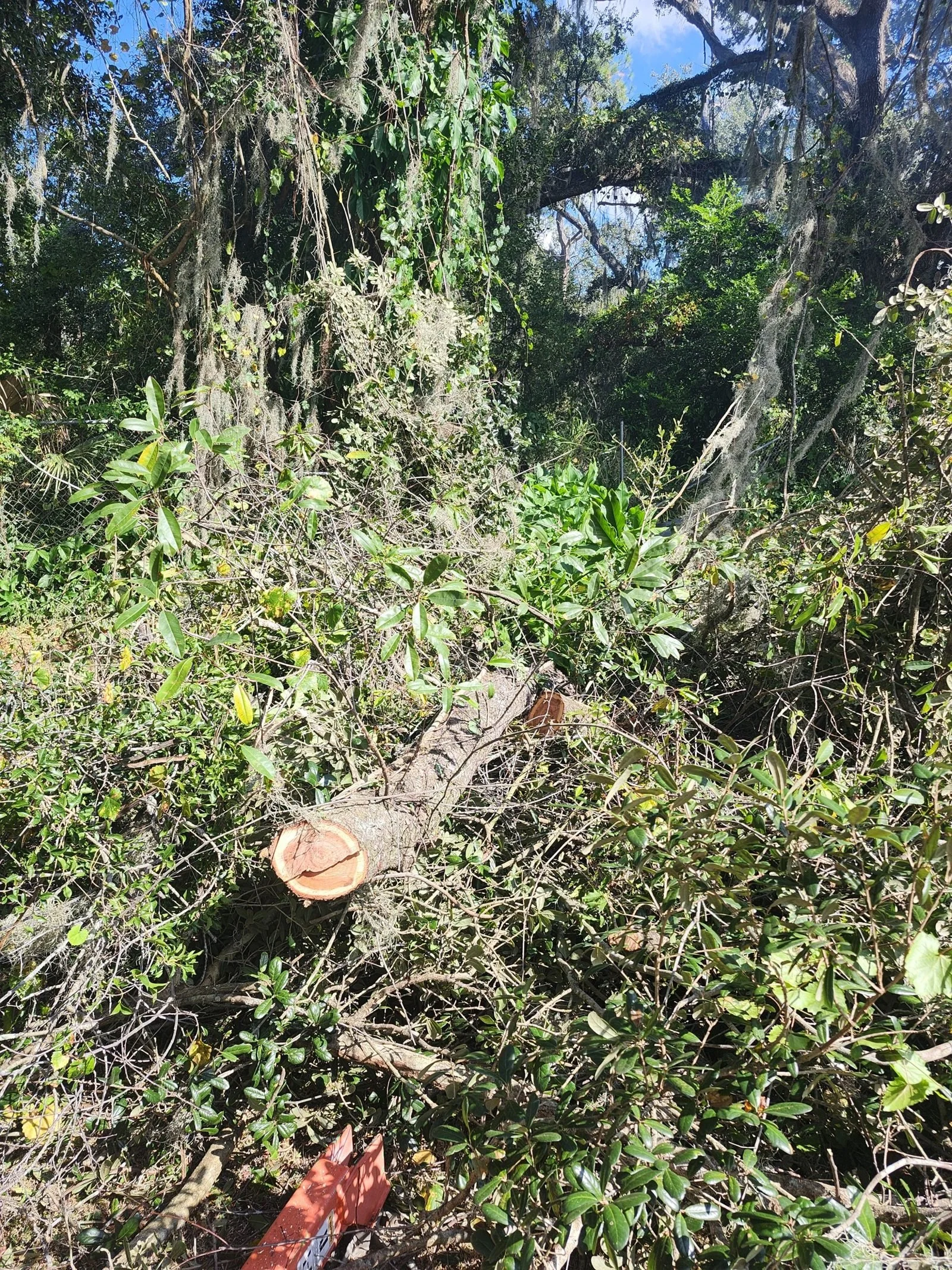 A Polk Services dump trailer loaded with storm debris for haul and disposal.