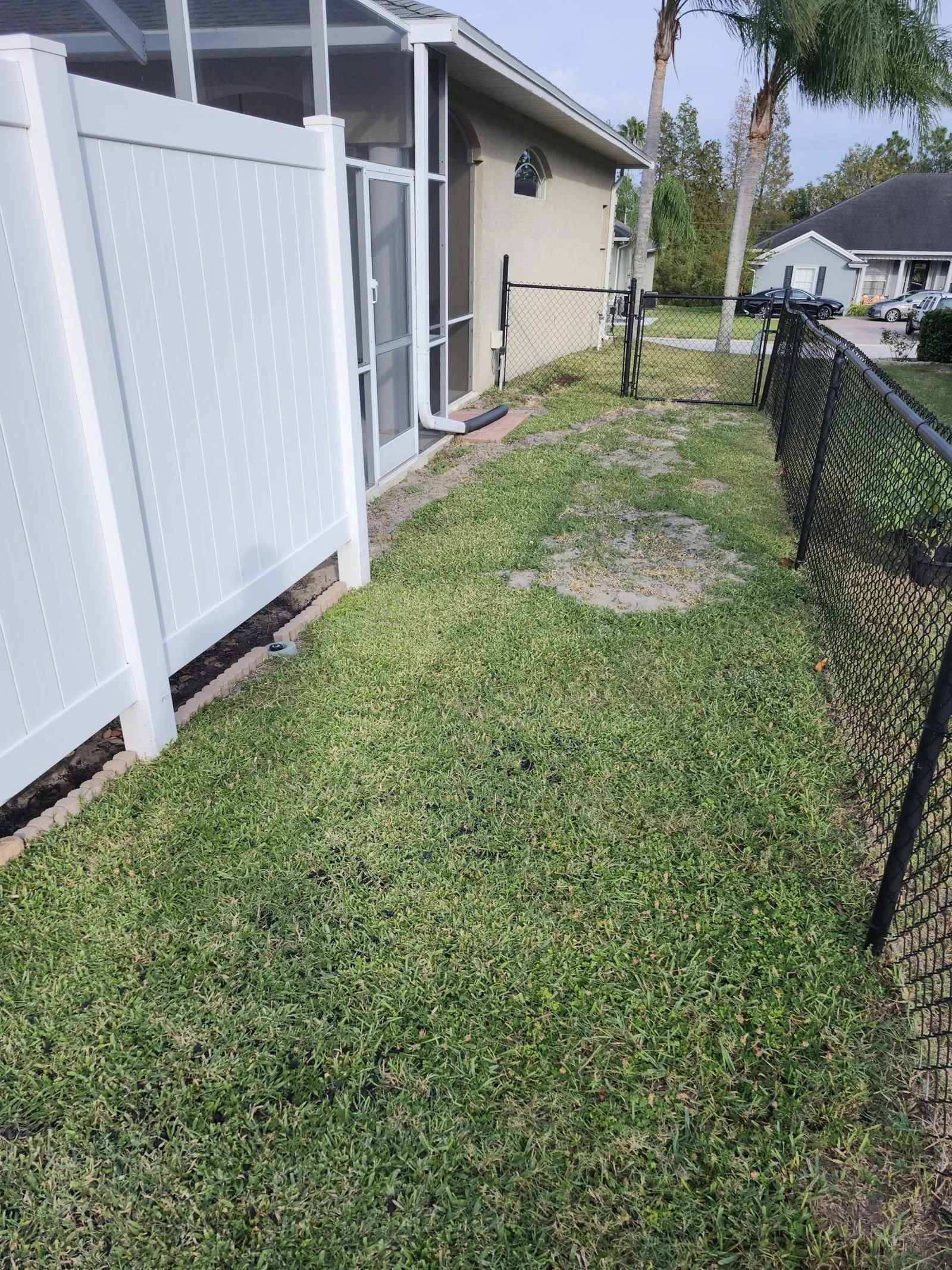 Polk Services fence removal in Lakeland, FL, a wood privacy fence coming down with heavy equipment.