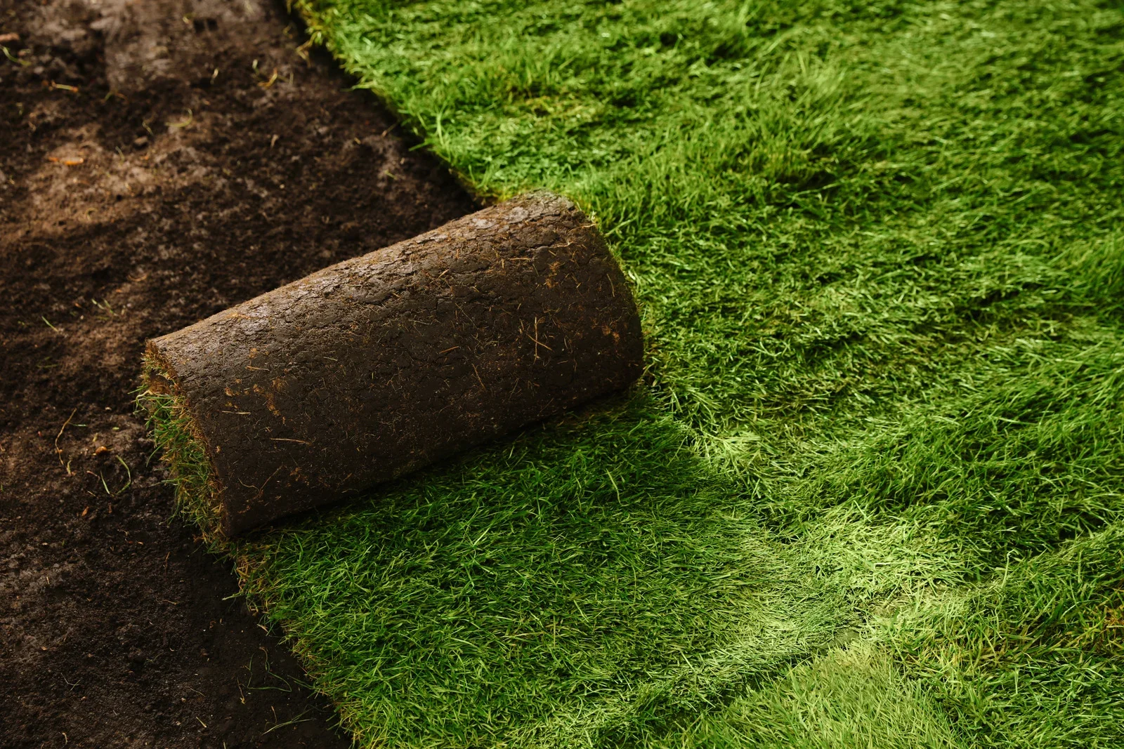 Polk Services sod installation in Lakeland, FL — fresh St. Augustine sod laid on a residential lawn.