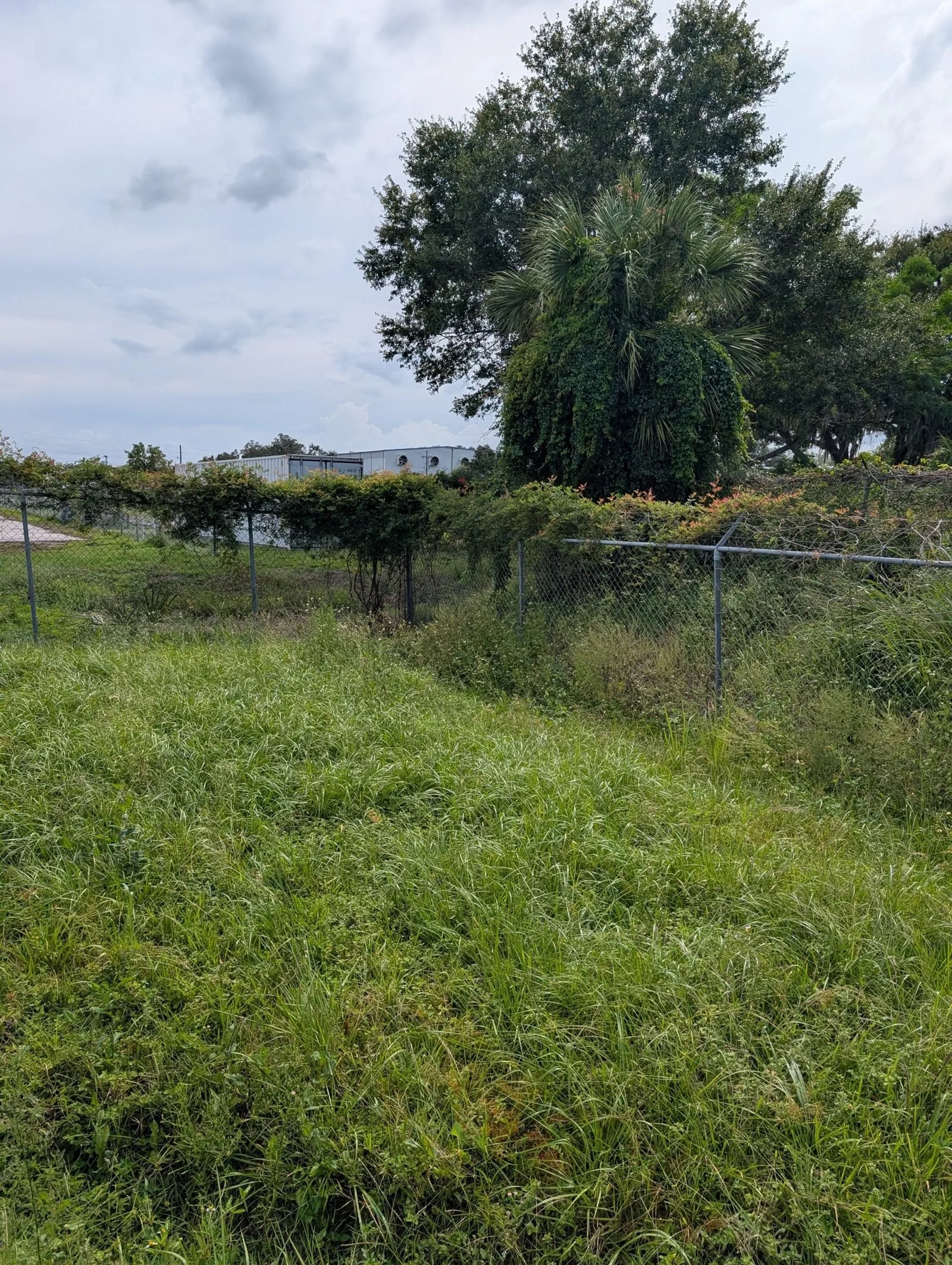 The Polk Services Kubota SCL1000 clearing brush on a Polk County lot.