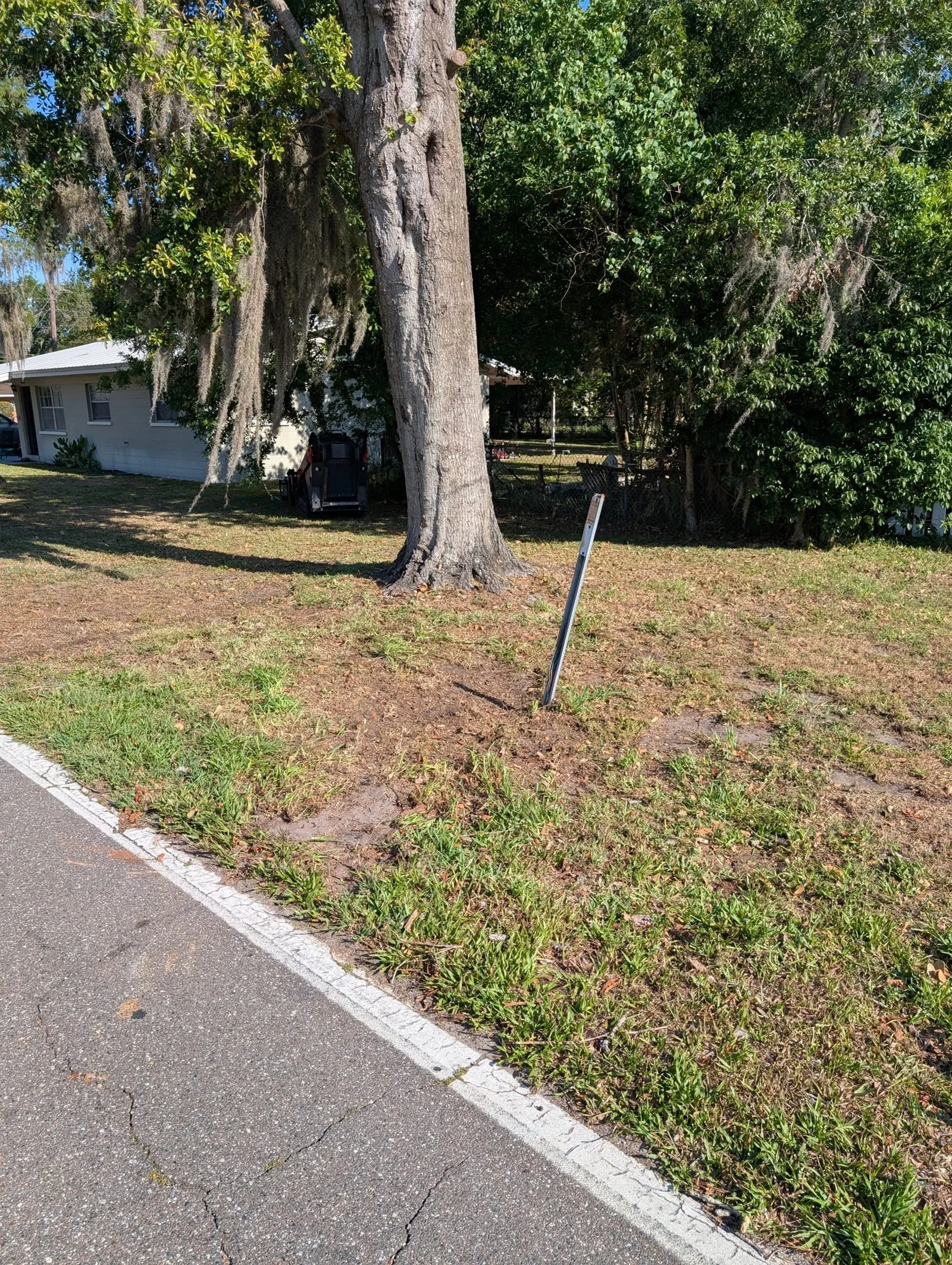 Yard cleared of limbs and stumps after Polk Services tree debris removal.