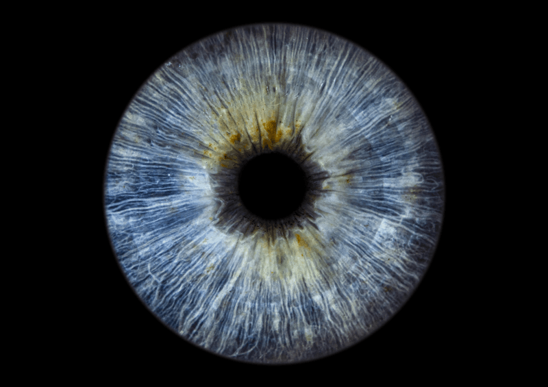 Iris artwork carousel example