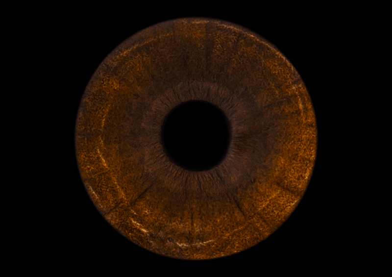 Iris artwork carousel example