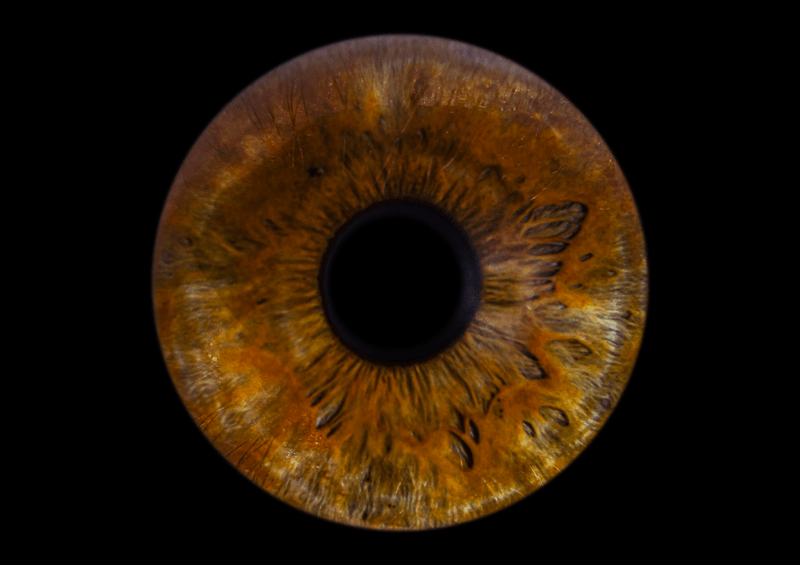 Copper iris artwork example