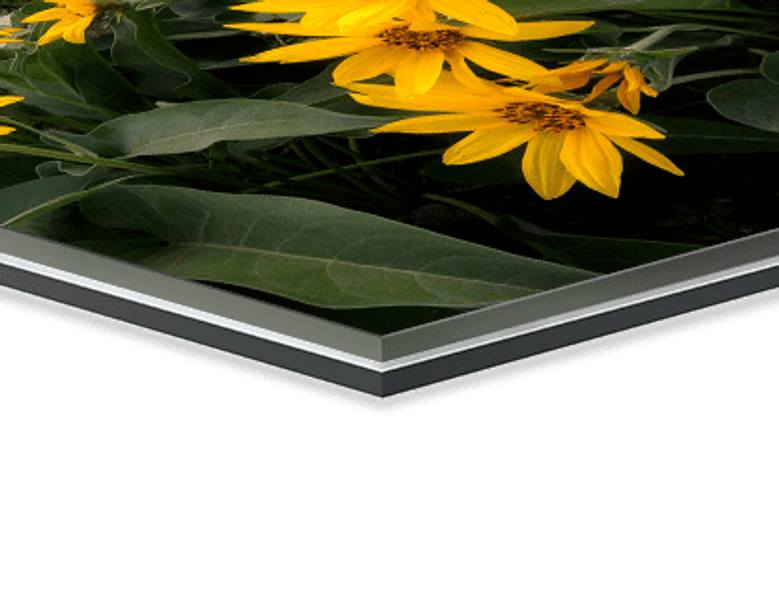 1/8-inch acrylic thickness