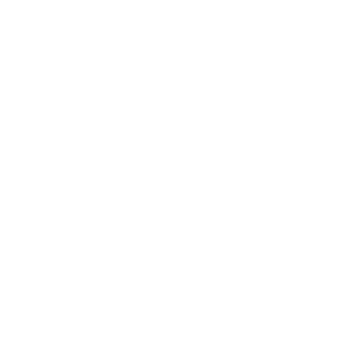 Item 1