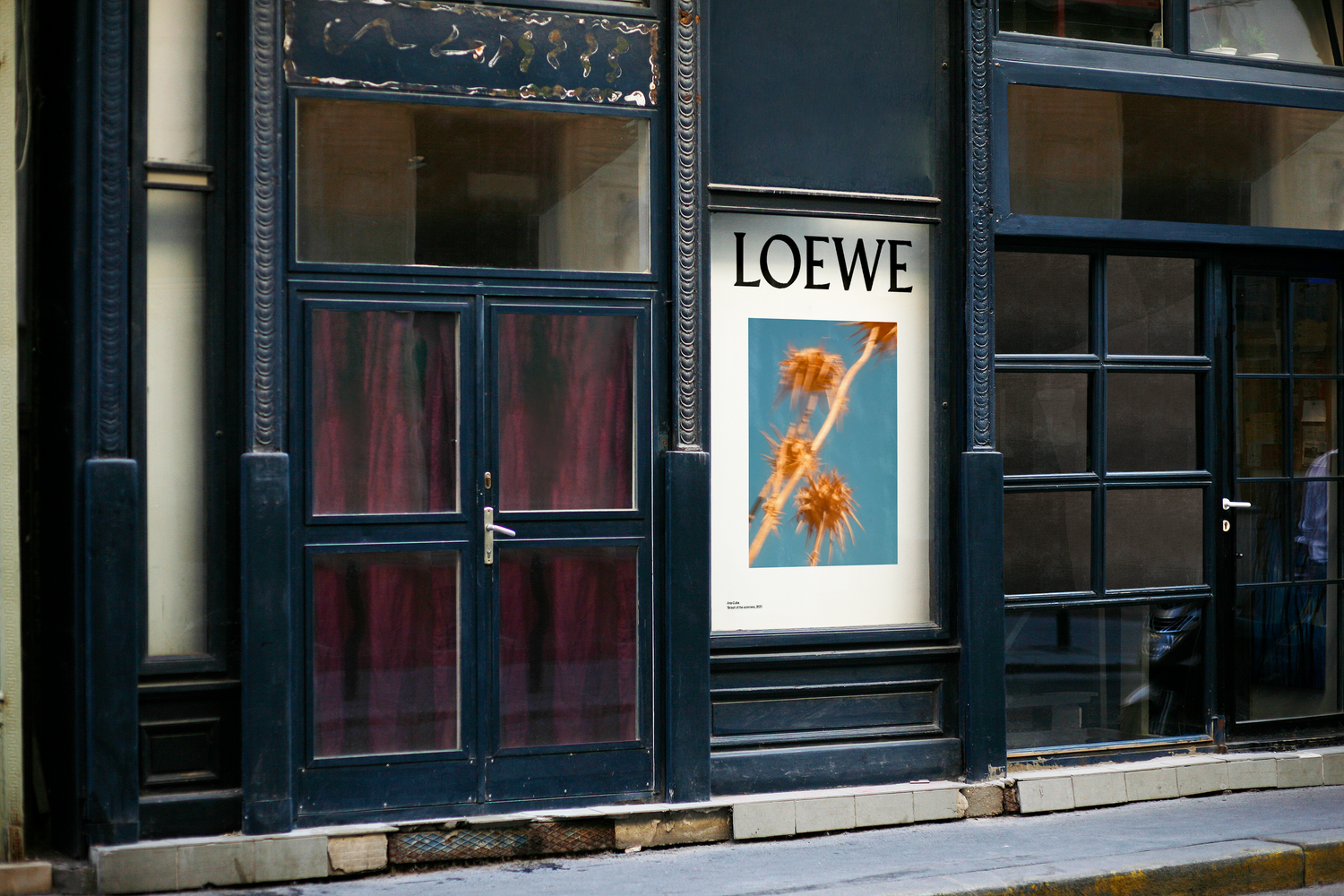 Loewe Aurora