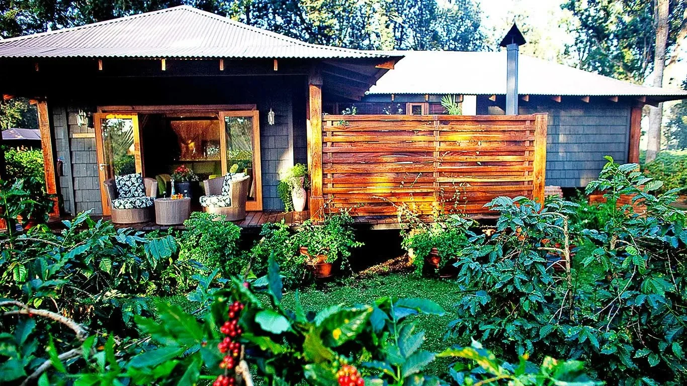 Arusha Coffee Lodge, Arusha