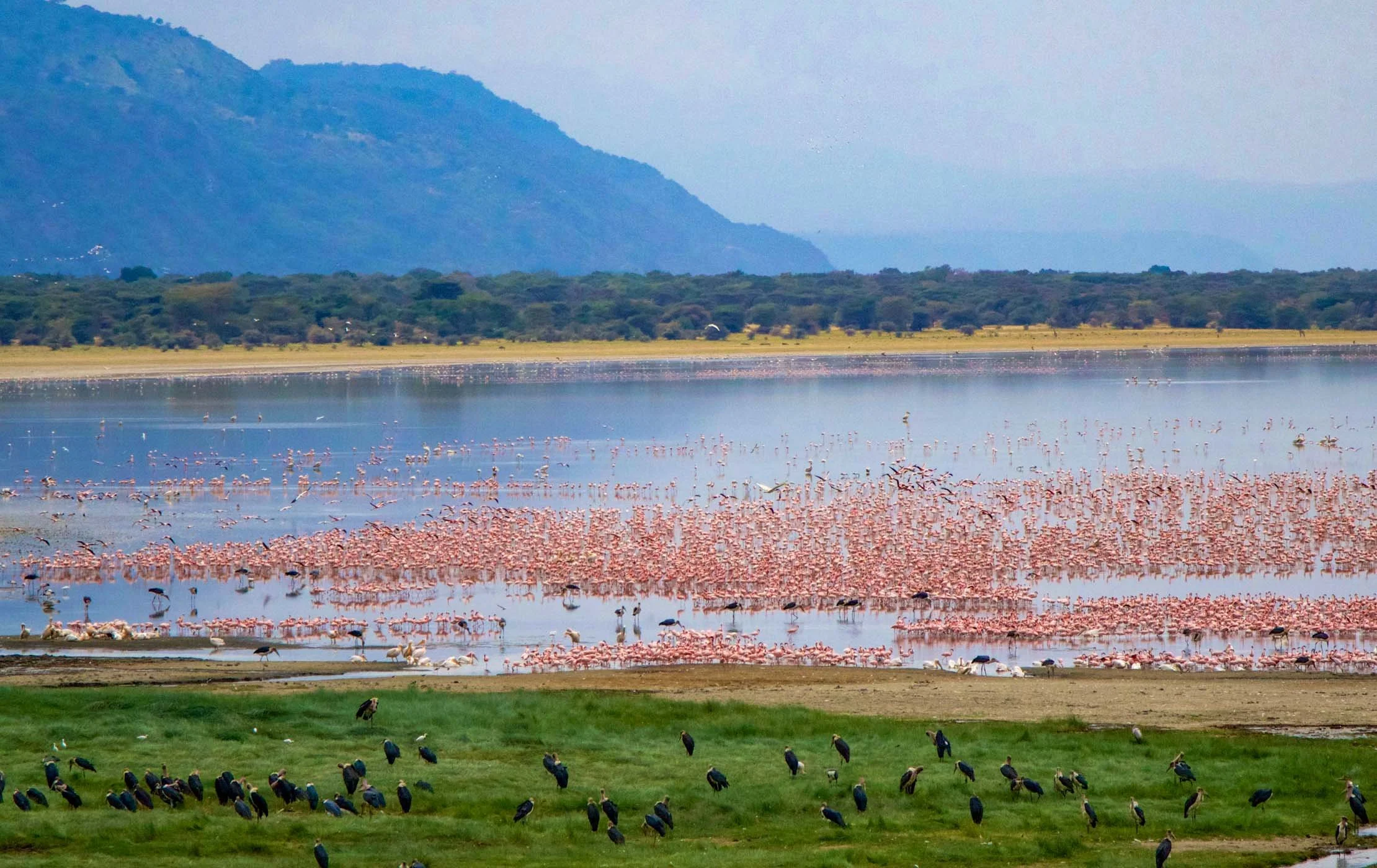 Lake Manyara beneath the Rift Valley escarpment