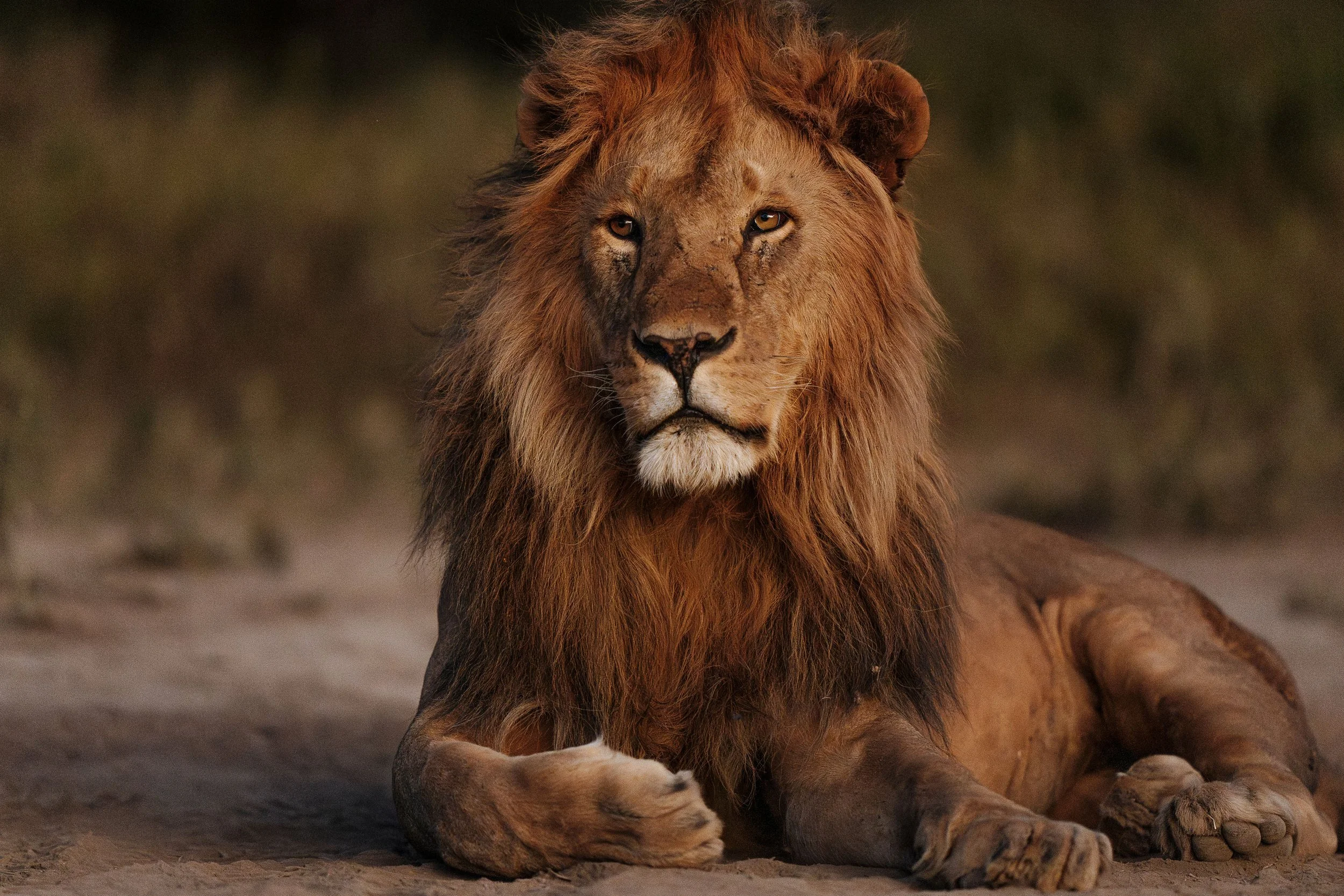 Northern Tanzania