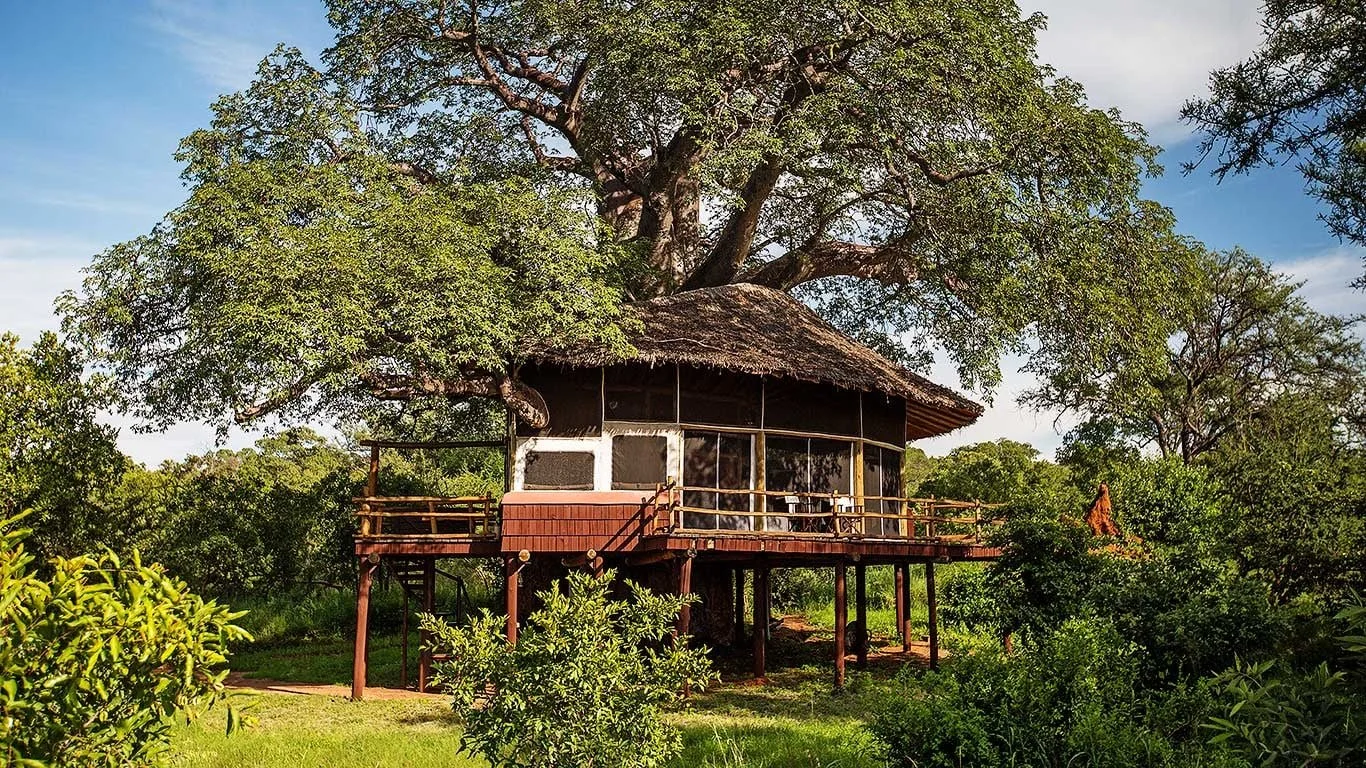 Tarangire Treetops, Tarangire