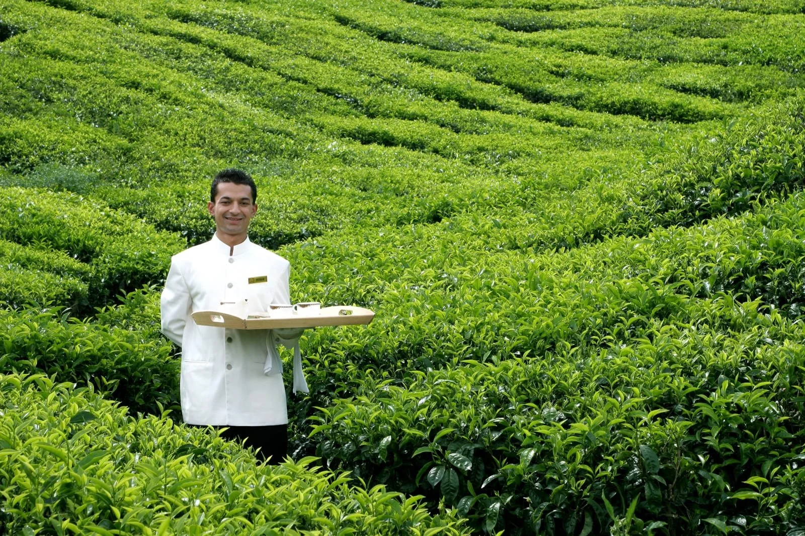 Cameron Highlands Resort, Cameron Highlands