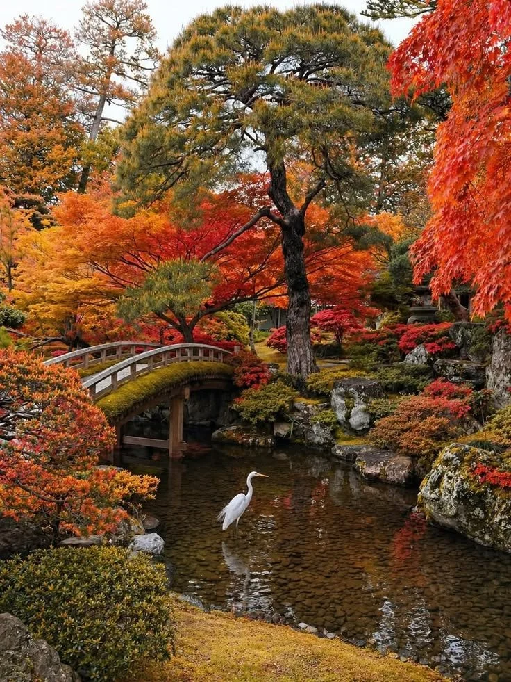 Kyoto