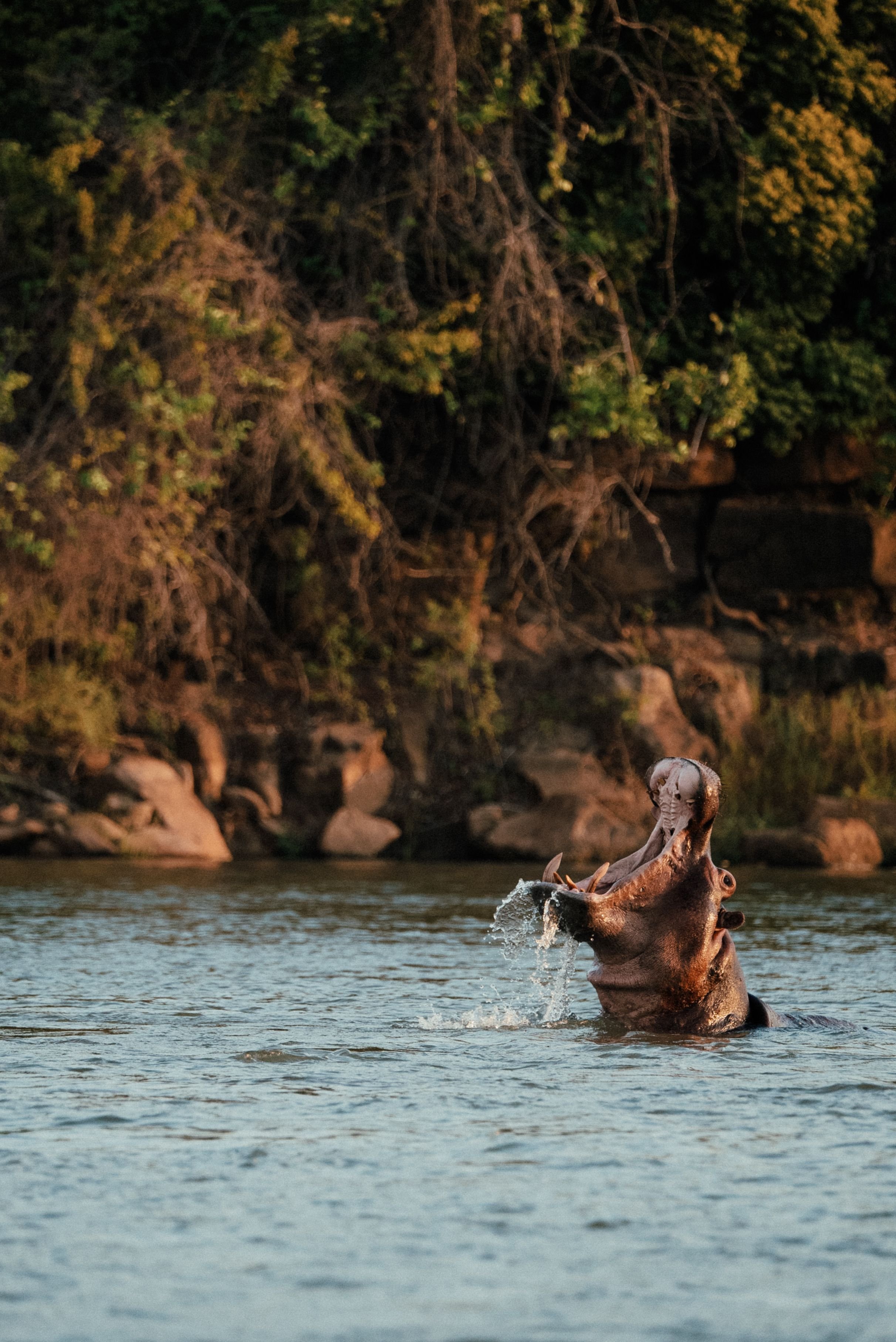The Rufiji River, Nyerere