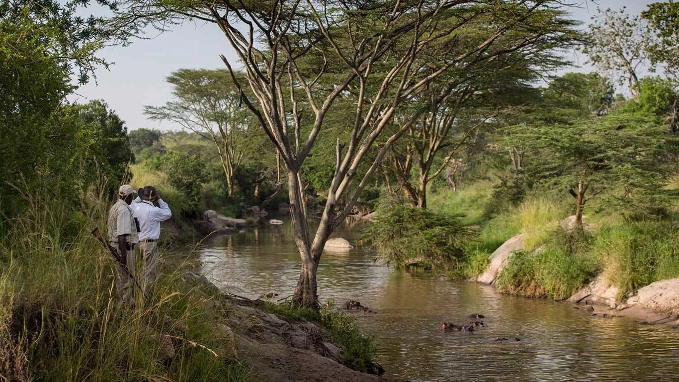 Serengeti Migration Camp, Serengeti