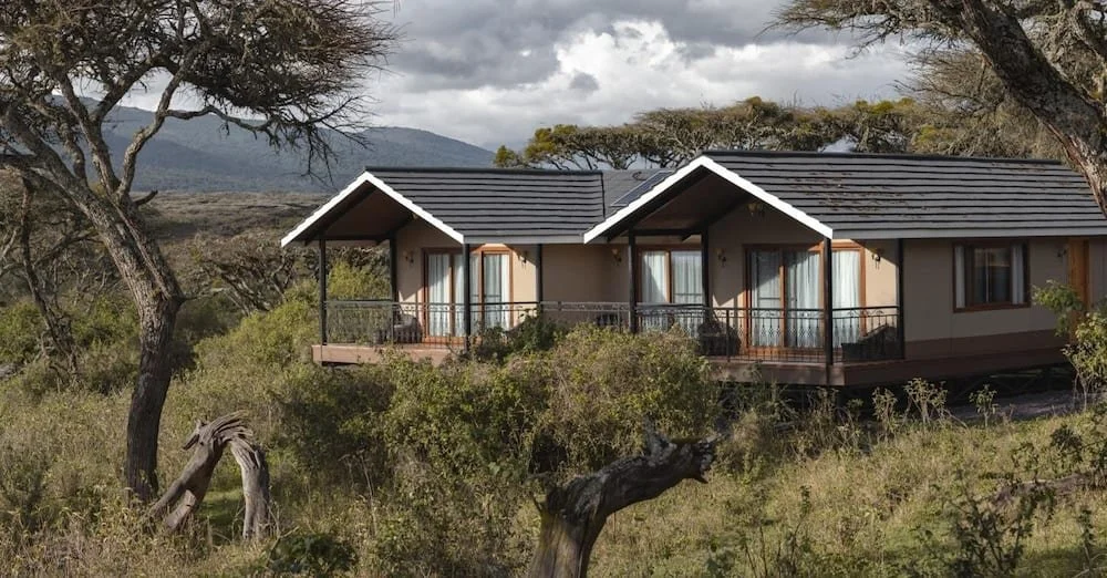 Lion's Paw, Ngorongoro