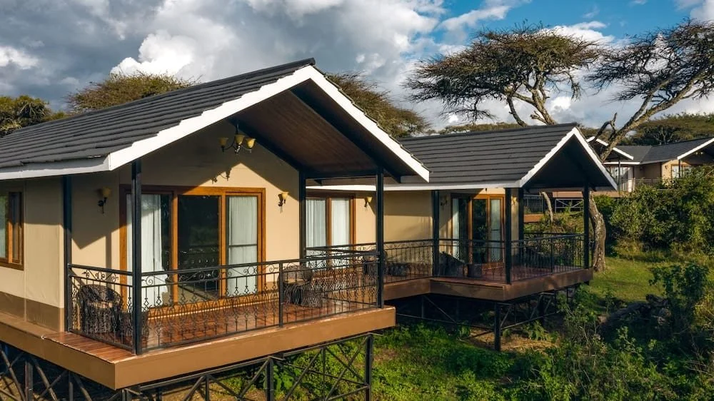 Lion's Paw, Ngorongoro