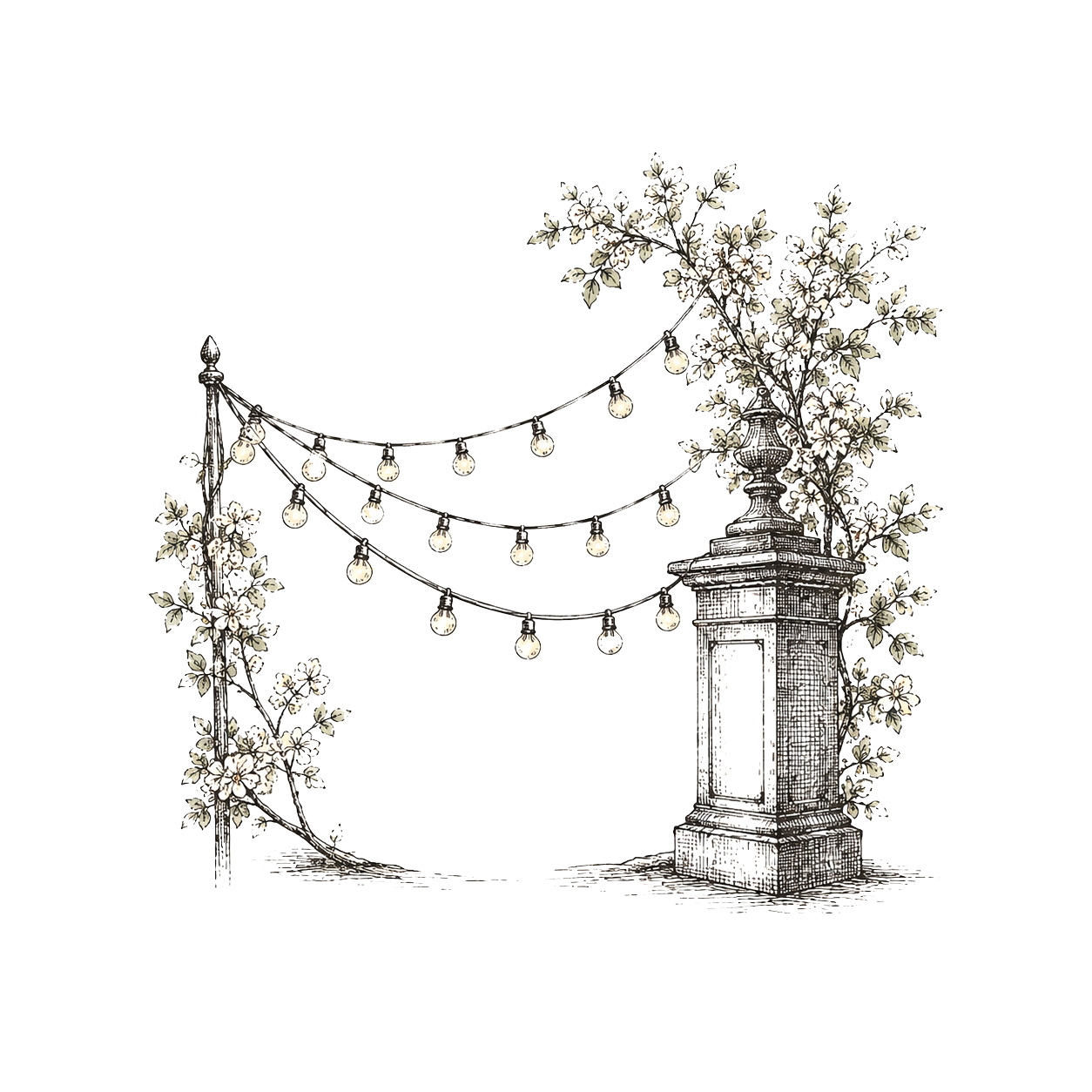 Illustration of string lights and flowering branches