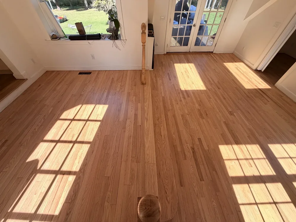 Sunlight falling across the refinished sunroom floor