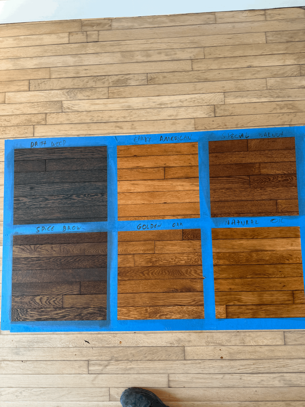 Six stain color samples applied directly to a hardwood floor