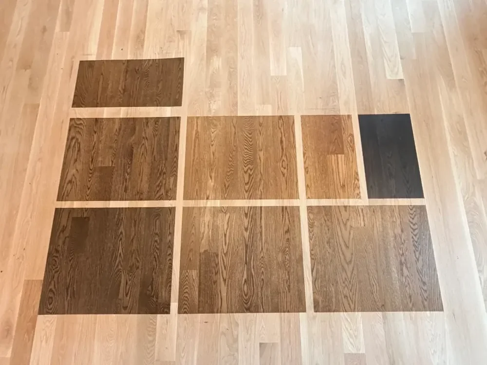 Stain color samples applied directly to a hardwood floor